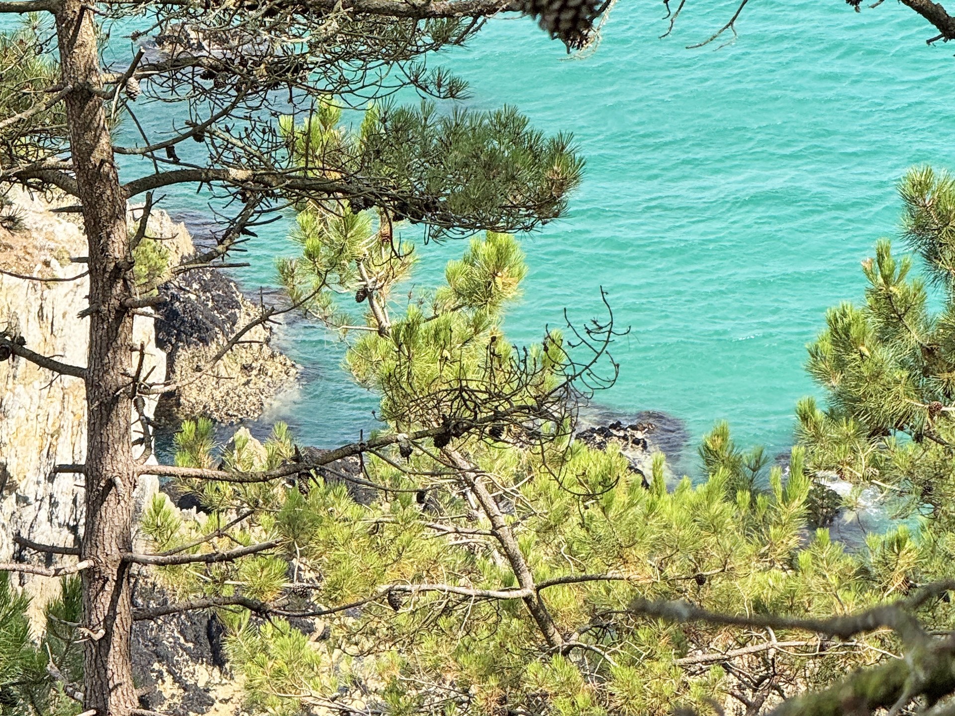  MORGAT, A SUMPTUOUS RENOVATION FACING THE SEA, SURROUNDED BY NATURE - 物件實景