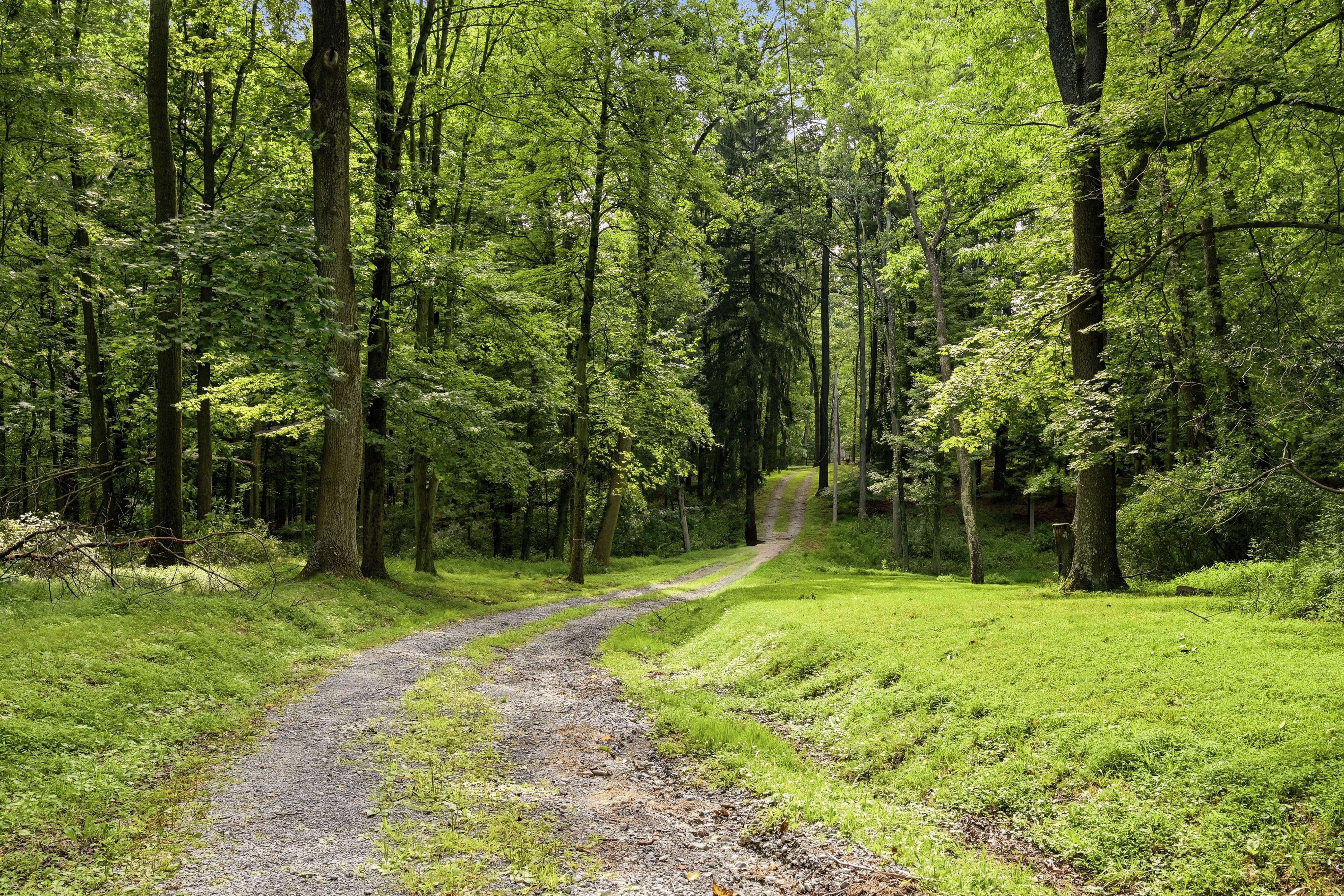  45 Stonedale Road, Sewickley, PA 15143 - 物件實景