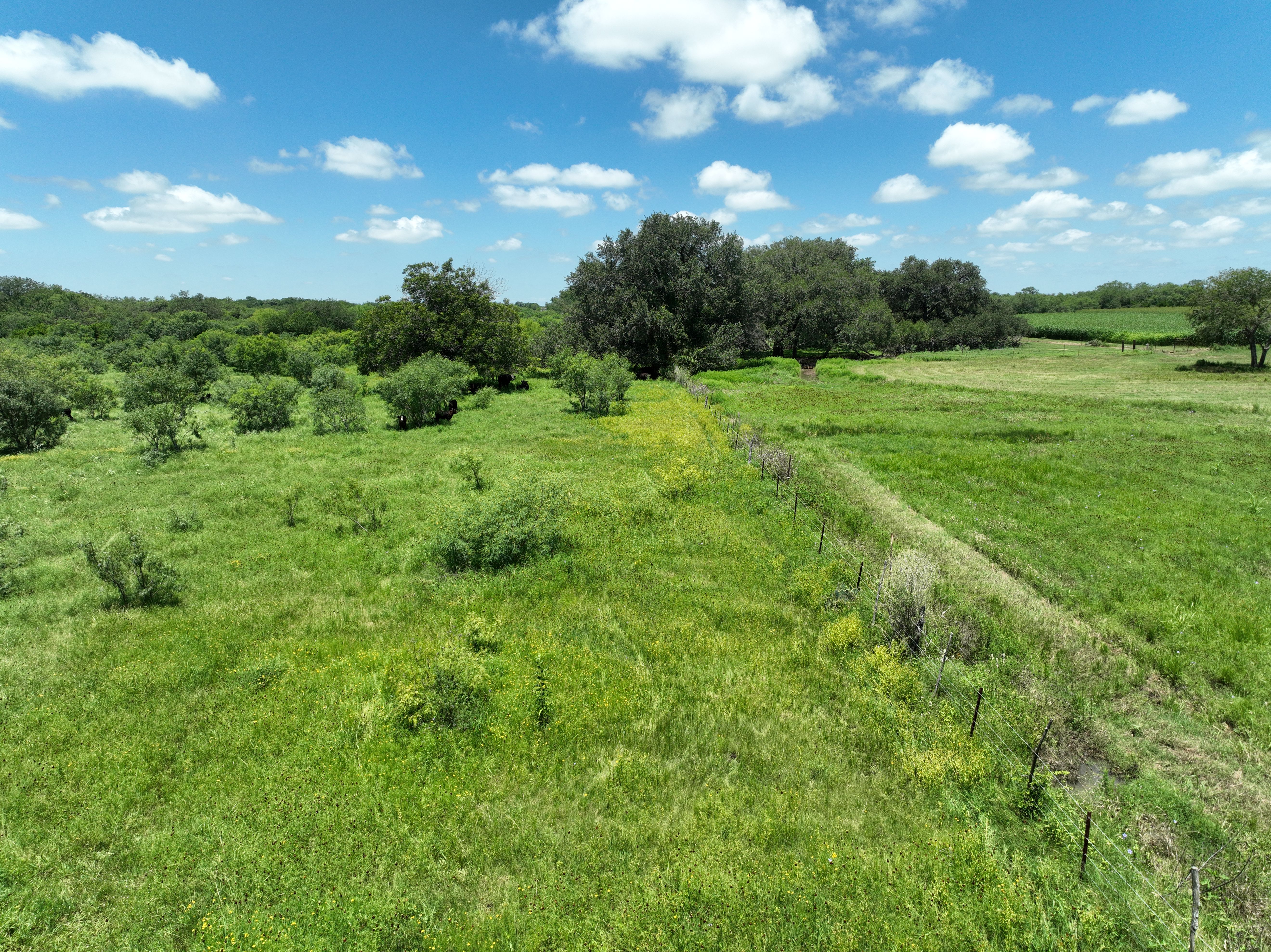  87.69+/- Acres in Bexar County - 物件實景