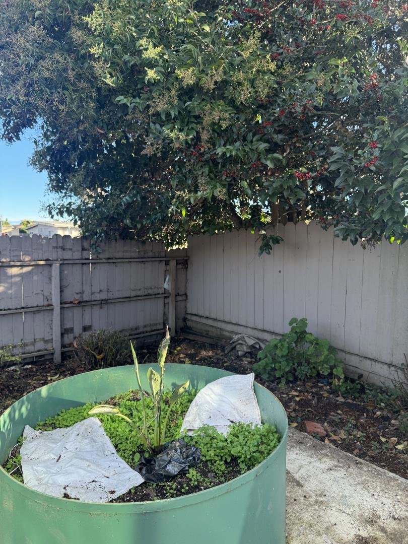 Watsonville, California, 95076, United States, 2 Bedrooms Bedrooms, ,2 BathroomsBathrooms,Residential,For Sale,1995413