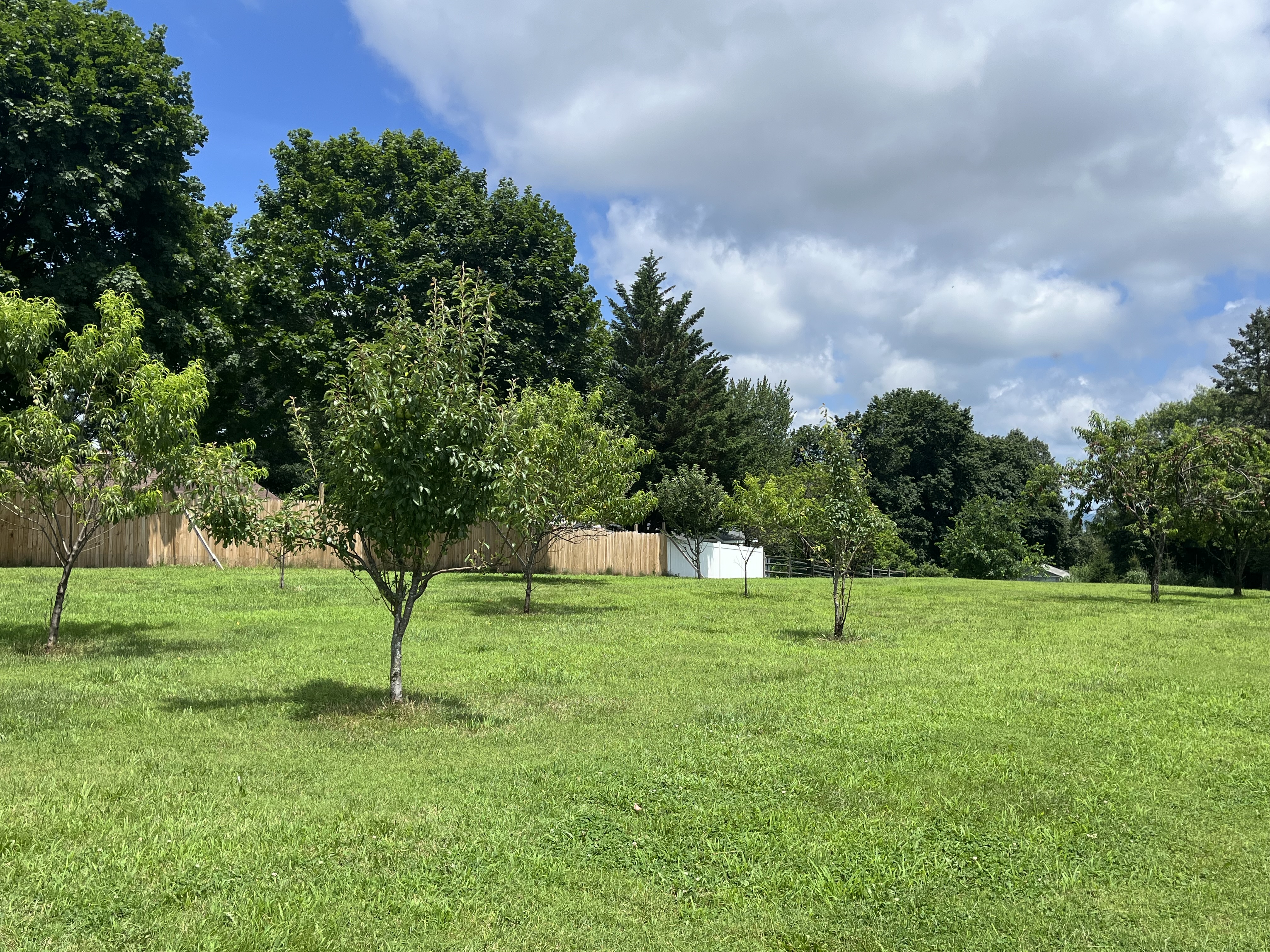 Reading, Pennsylvania, 19606, United States, 4 Bedrooms Bedrooms, ,3 BathroomsBathrooms,Residential,For Sale,1979384