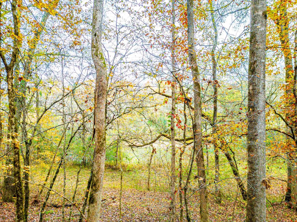 6.04 ac LINCHBURG ROAD, Eatonton, Georgia, 31024, United States, ,Land,For Sale,6.04 ac LINCHBURG ROAD,1683255