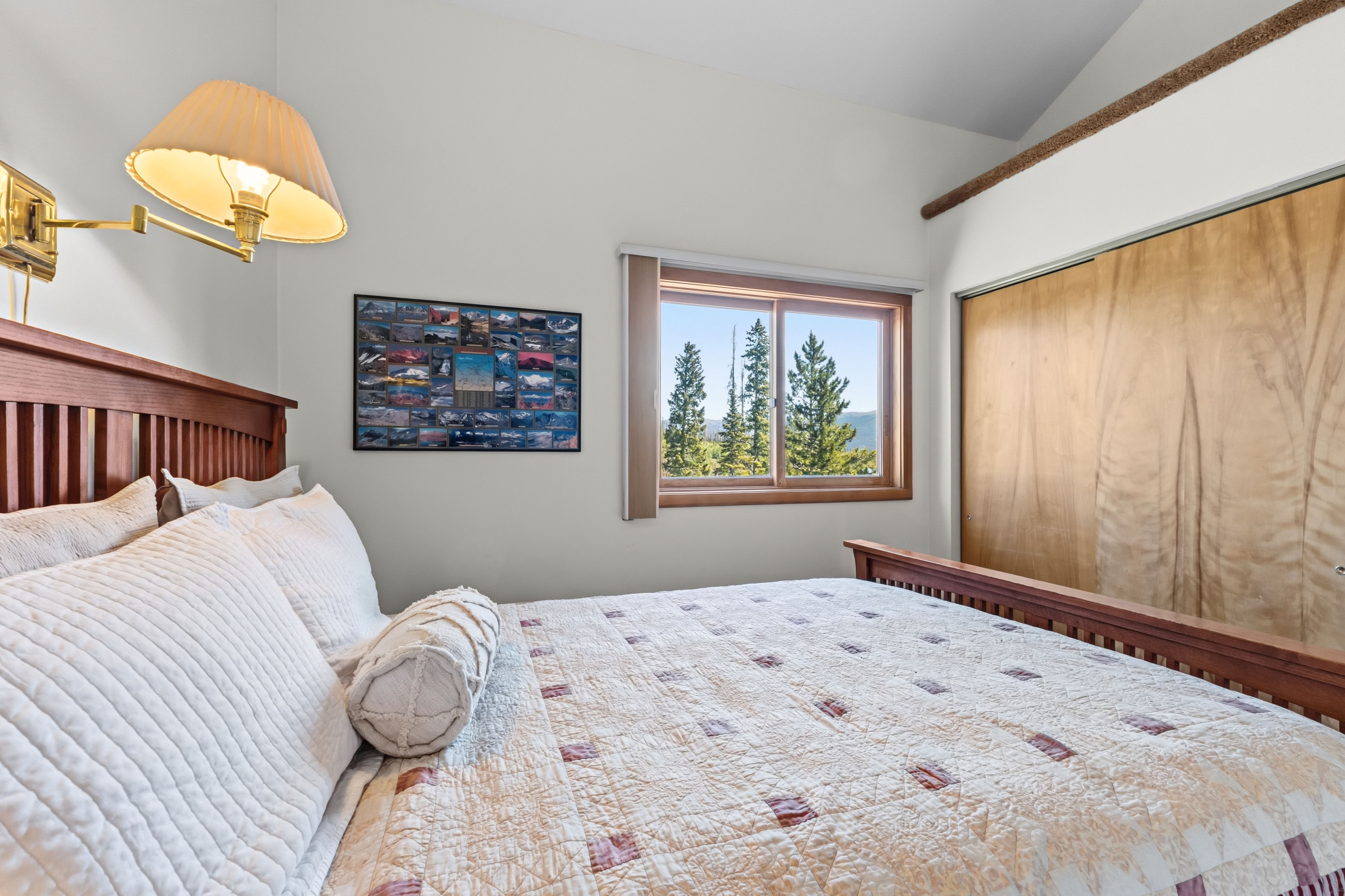  91200 Ryan Gulch Road, Silverthorne, CO, 80498 - 物件實景