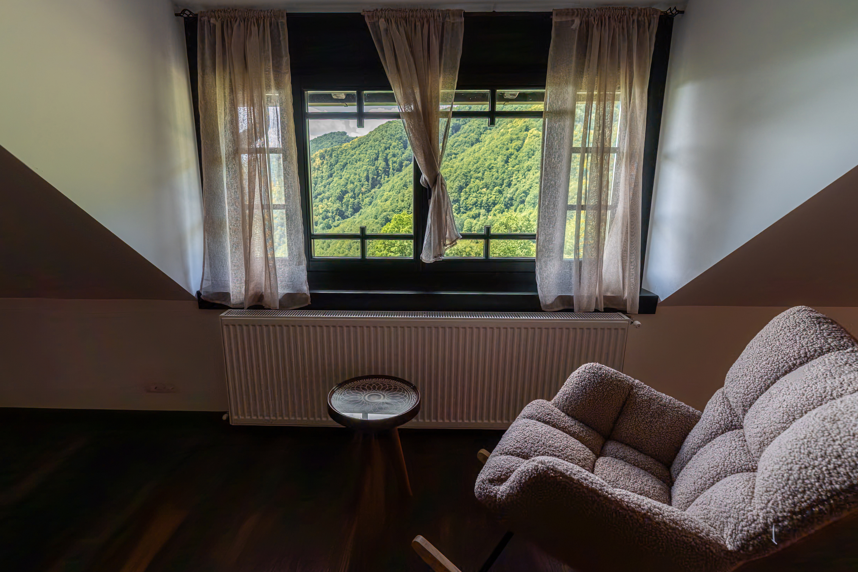  Versatile 22-Hectare Private Estate - Forested Heart of the Apuseni Mountains - 物件實景