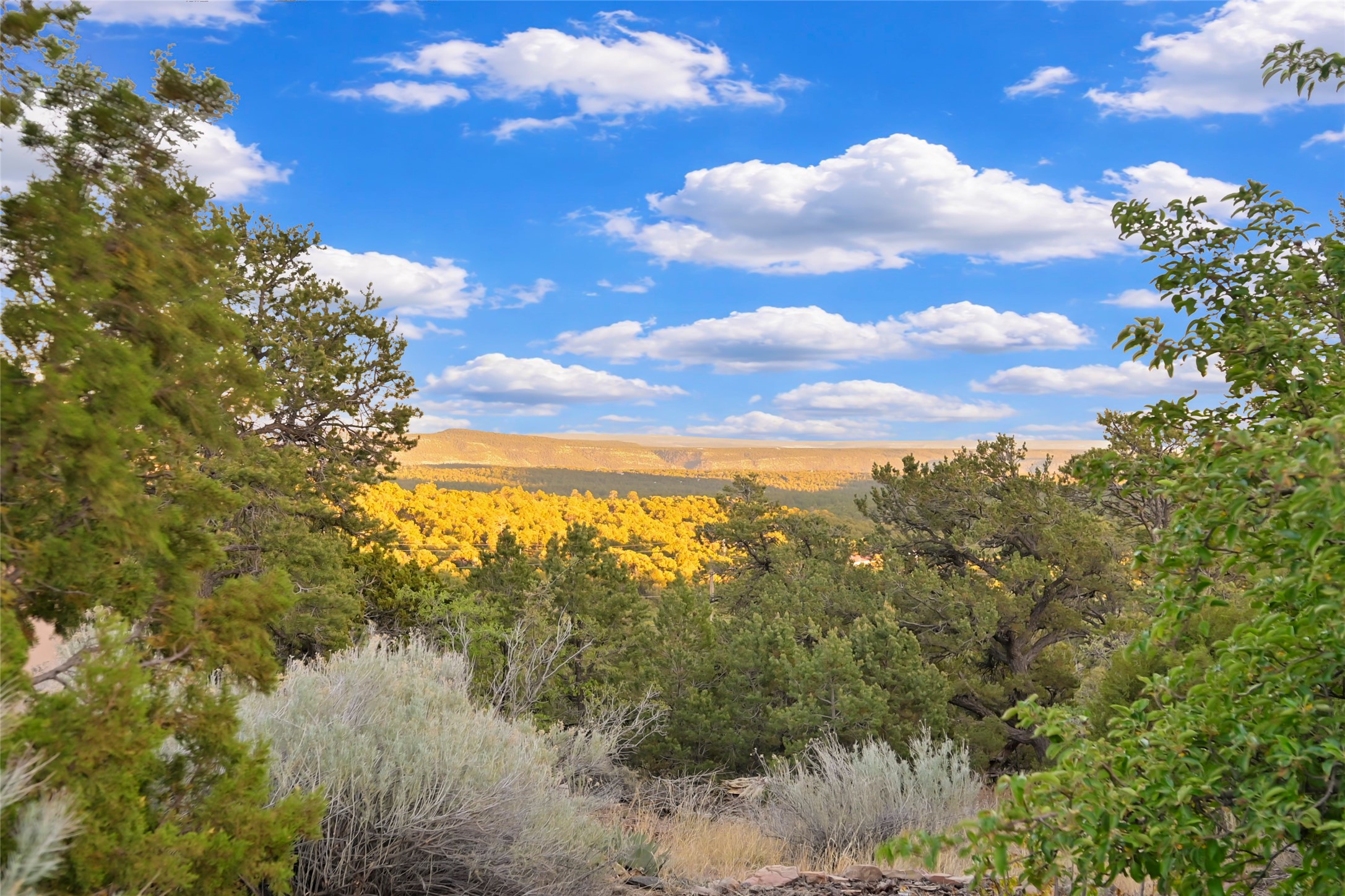 7675 A Old Santa Fe Trail - 物件實景