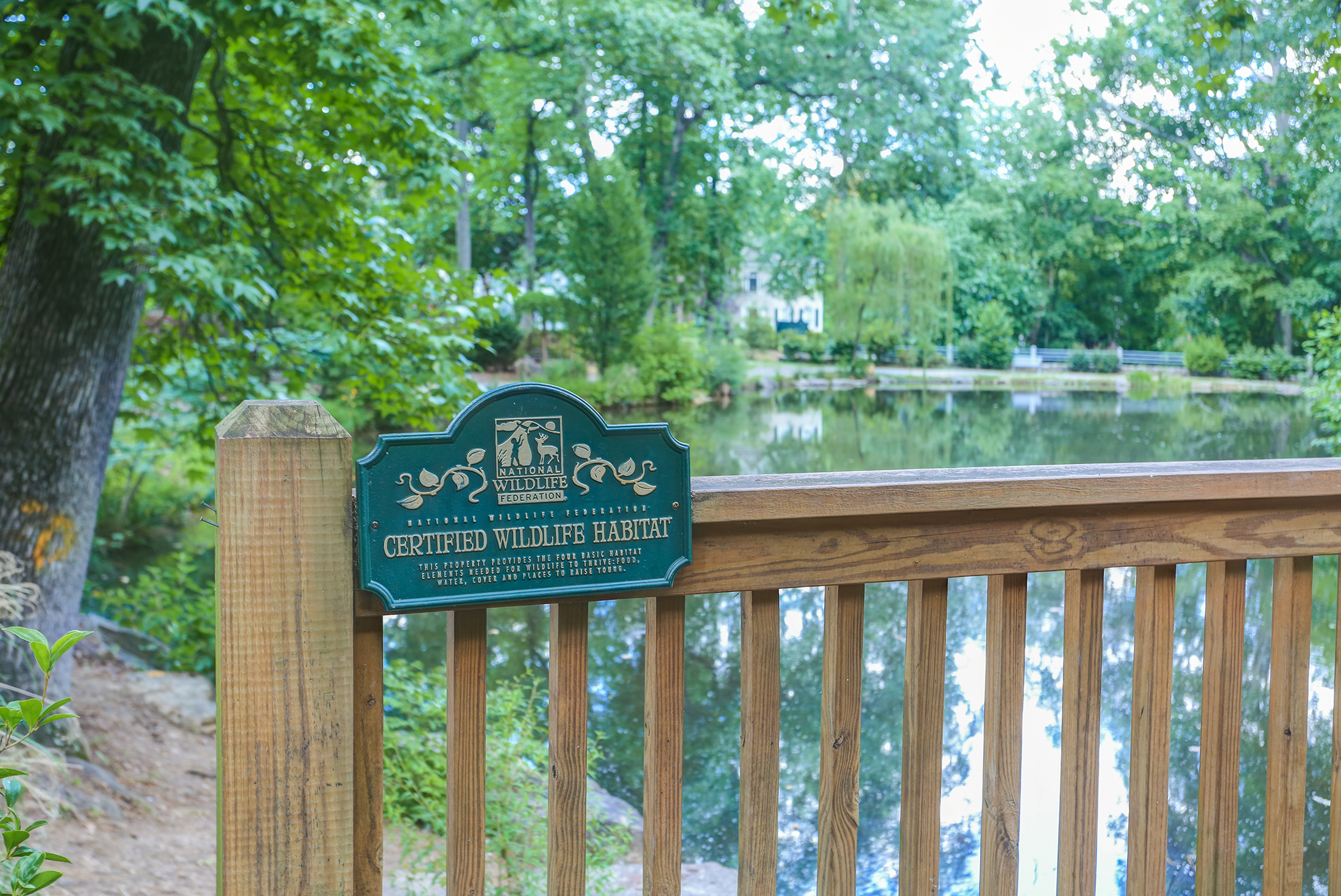  Charming Loring Heights Bungalow in a Park-side Setting - 物件實景
