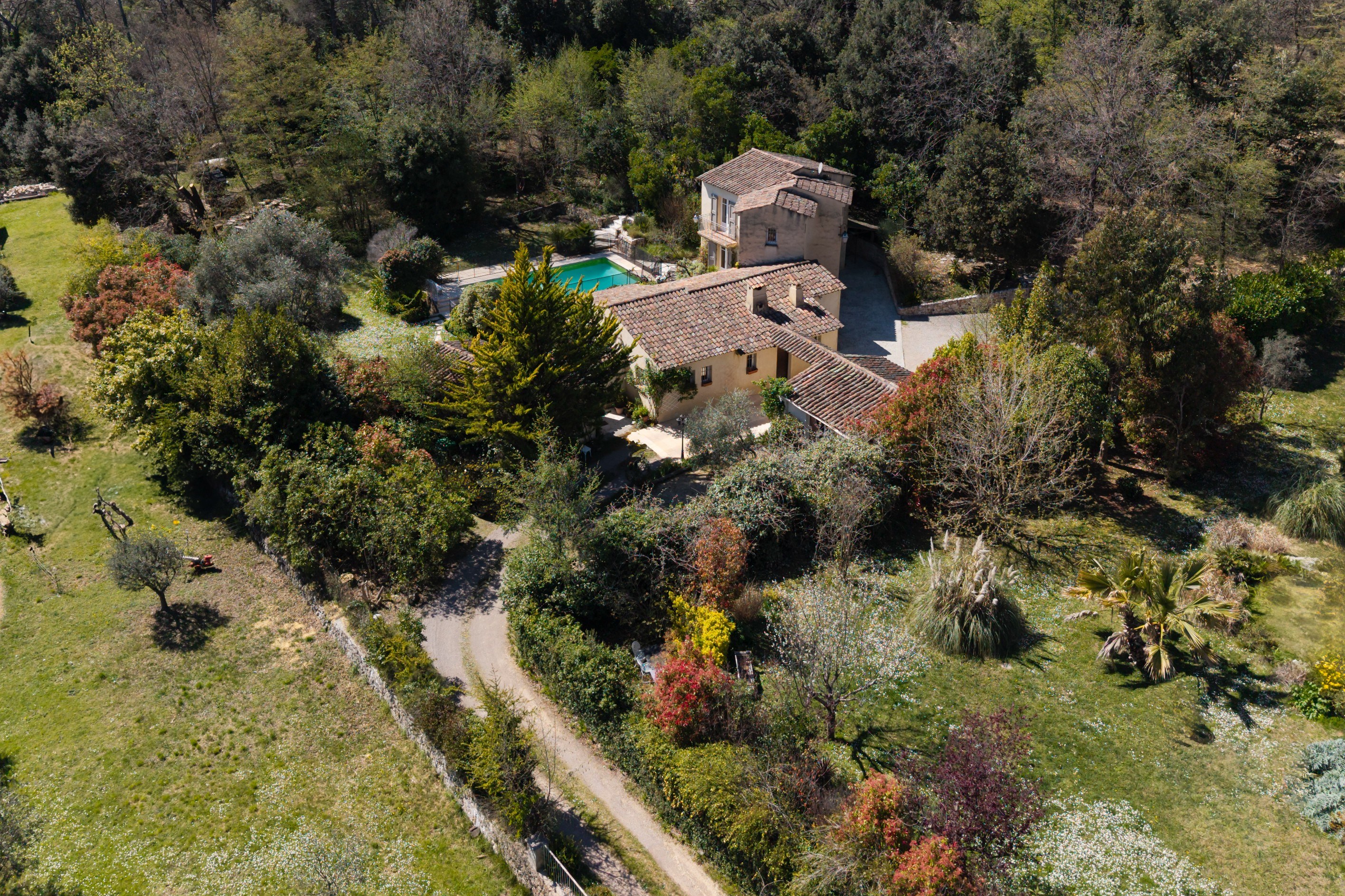  Provençal villa with pool and development potential in Roquefort les Pins near … - 物件實景