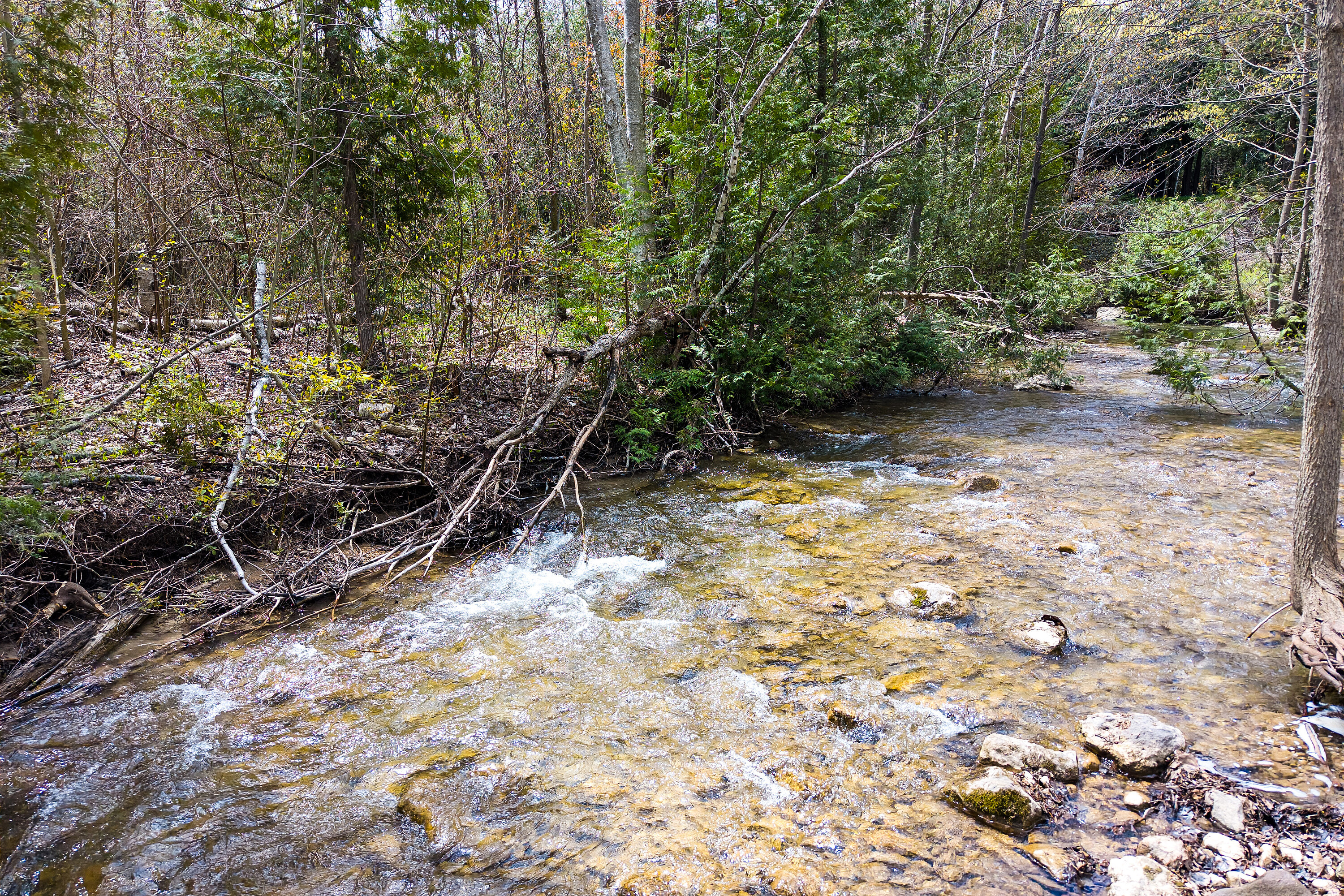  Private Creekside Retreat - 物件實景