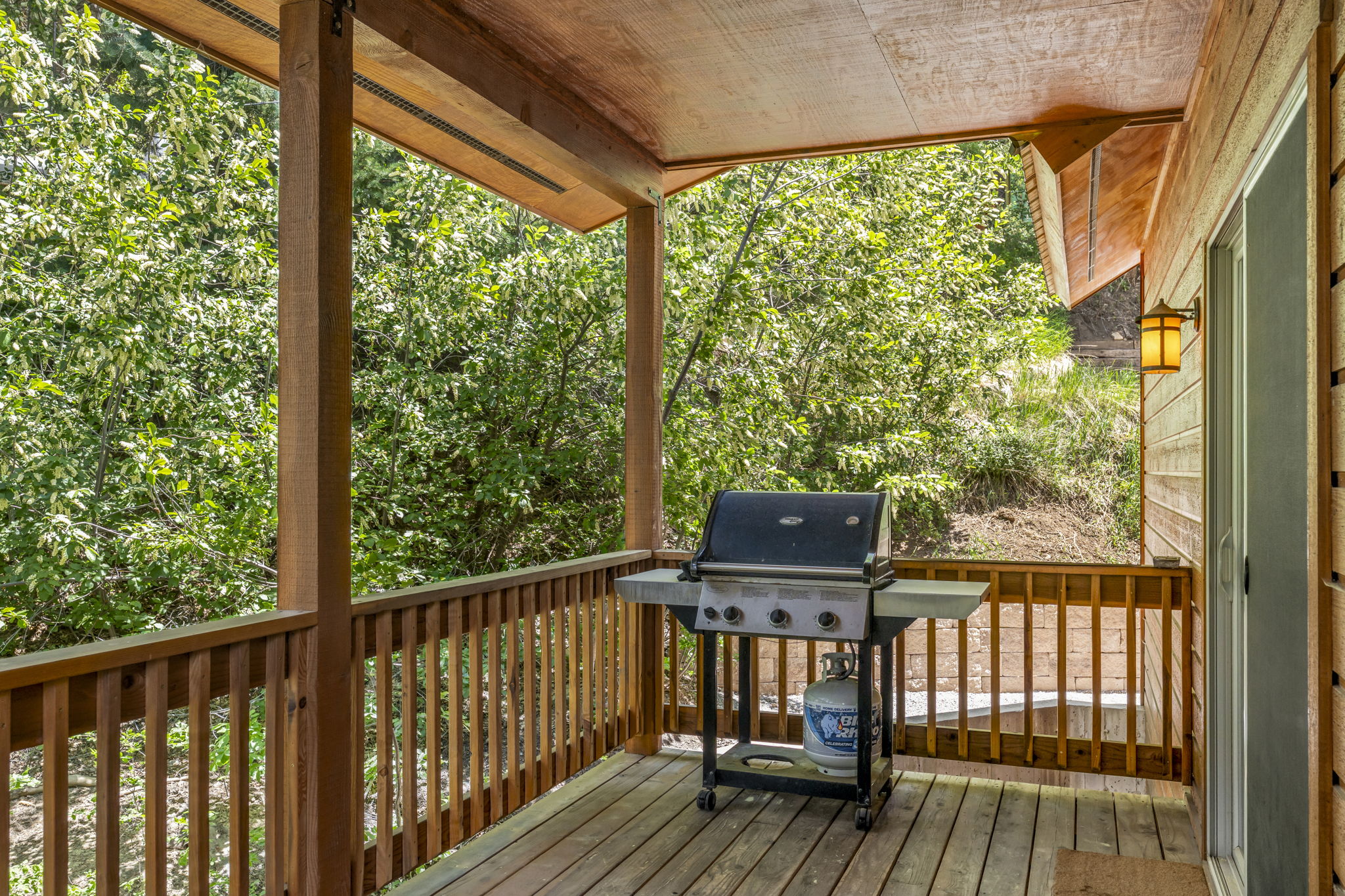  576 High Trails Drive, Durango, CO 81301 - 物件實景