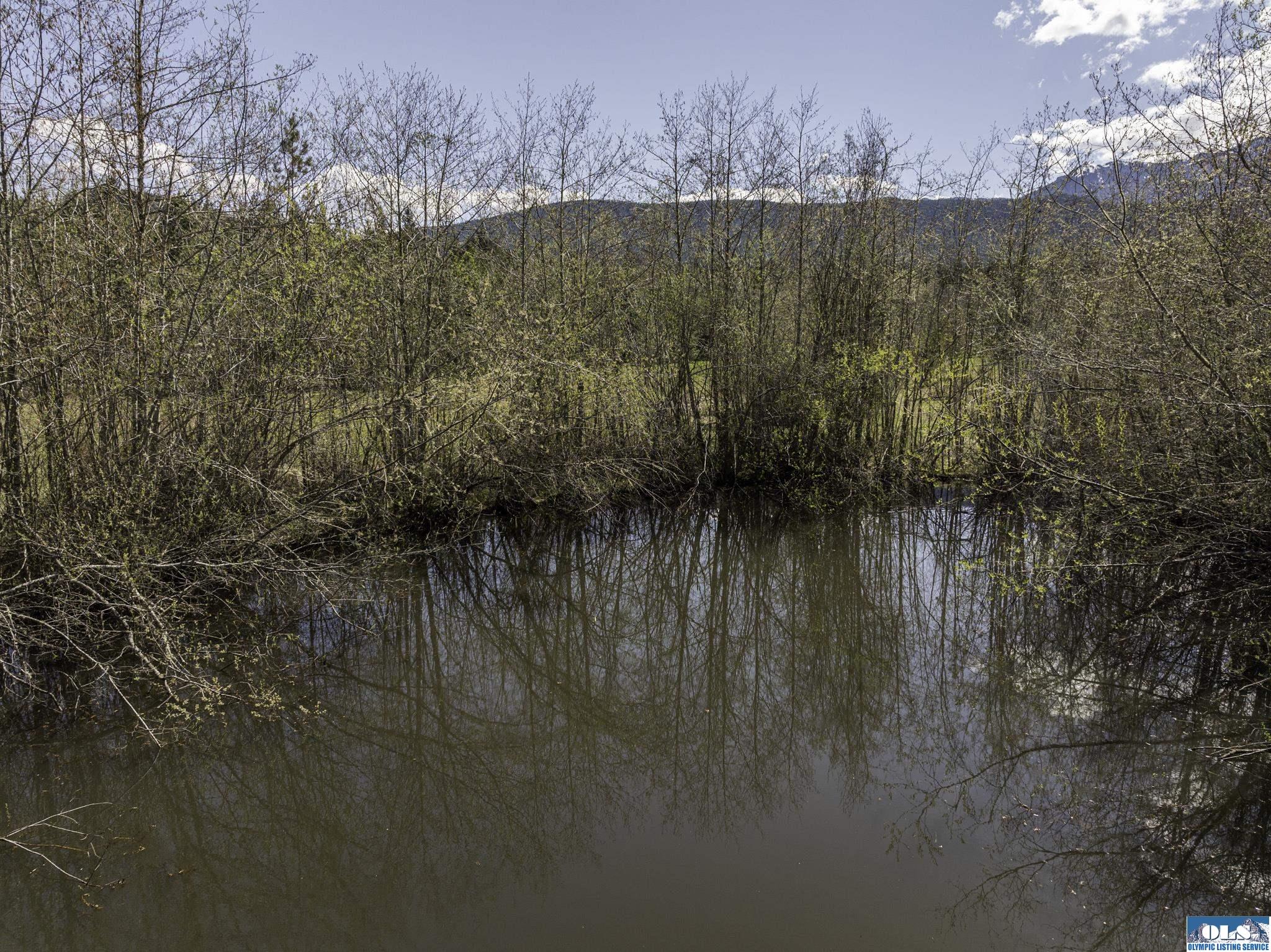 Sequim, Washington, 98382, United States, ,Land,For Sale,1787569