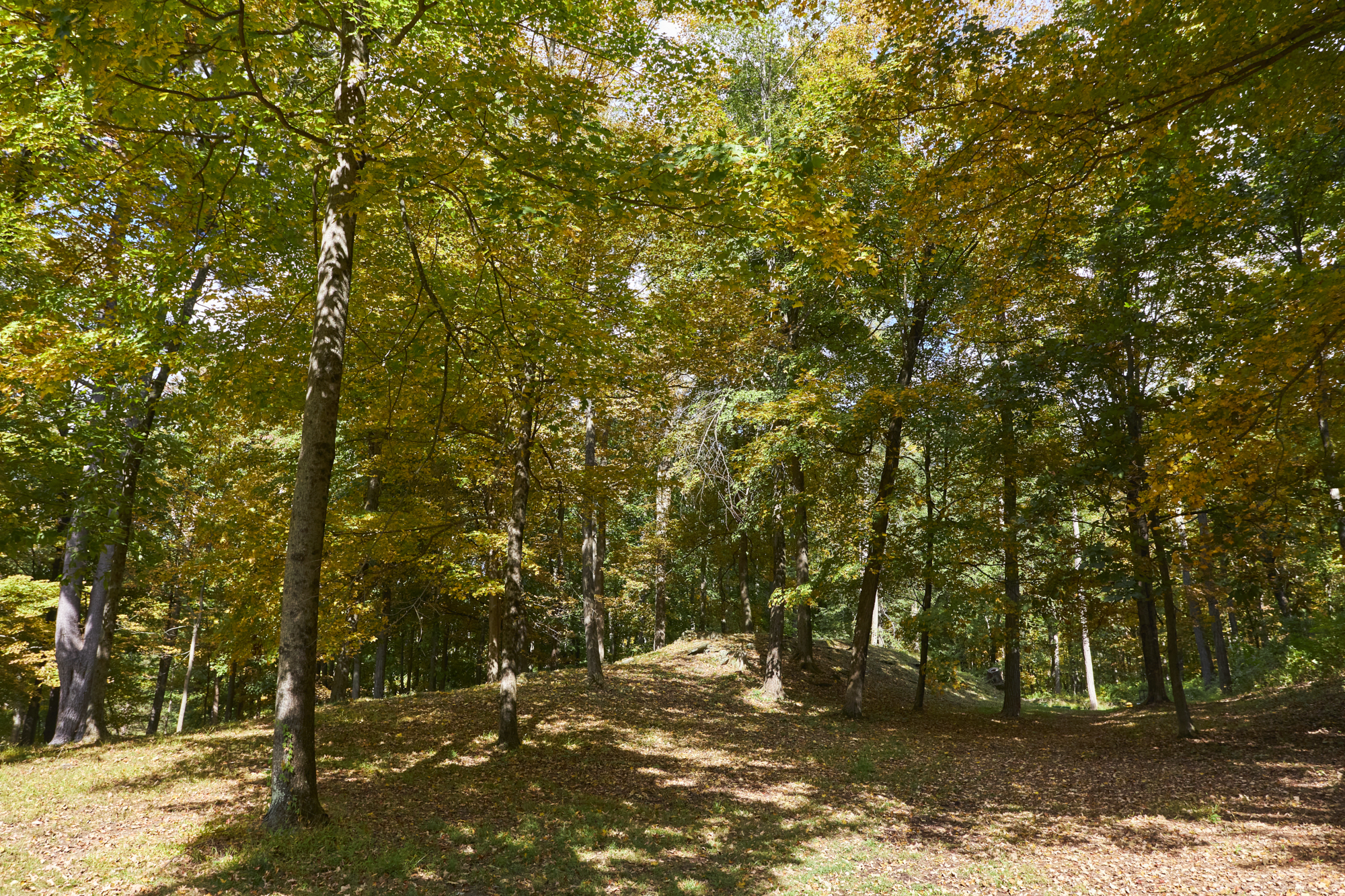  10 Old Primrose Hill Road, Rhinebeck, NY, 12572 - 物件實景