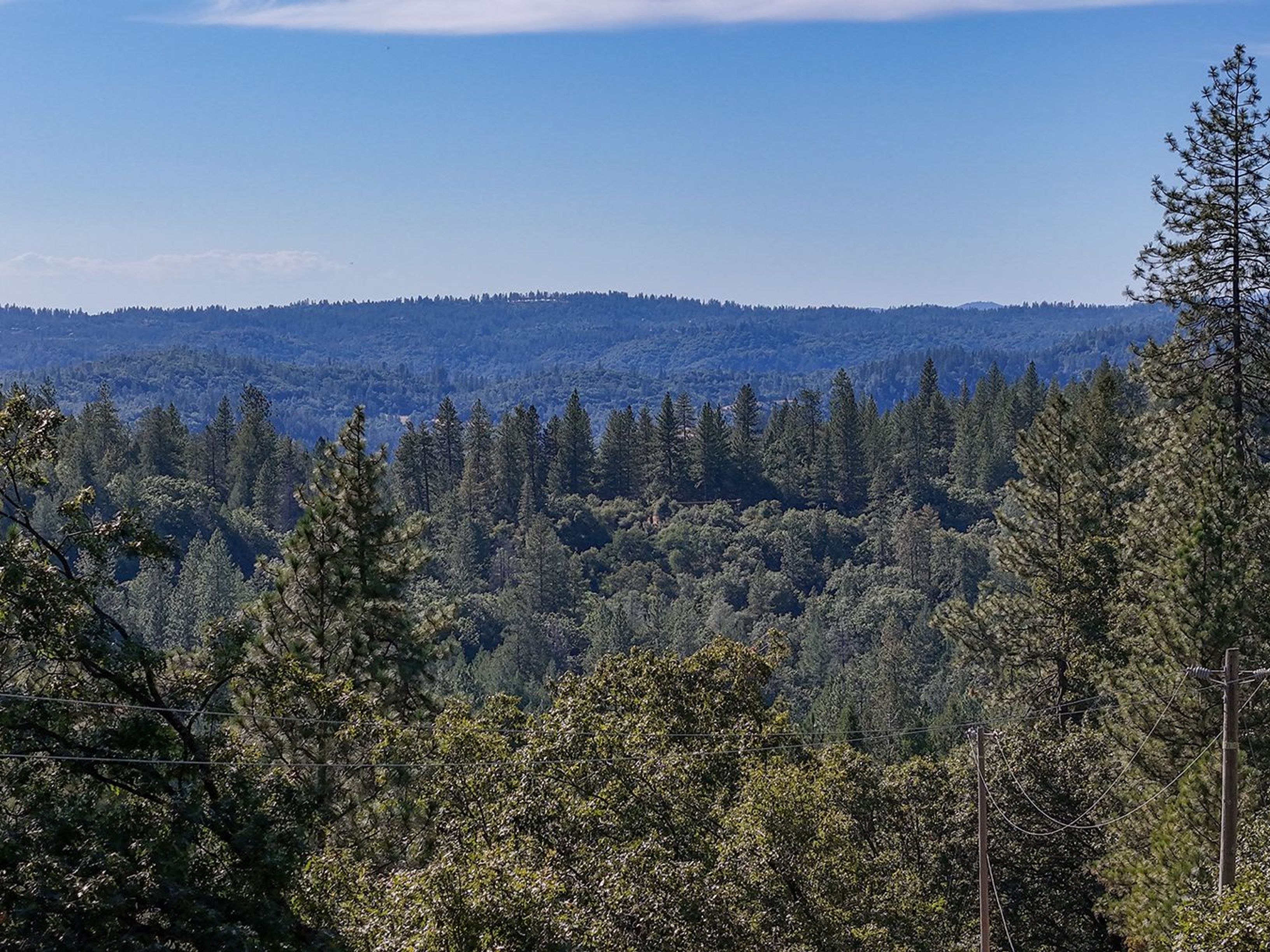  5199 Roquero Cerro Road, Greenwood, CA 95635 - 物件實景