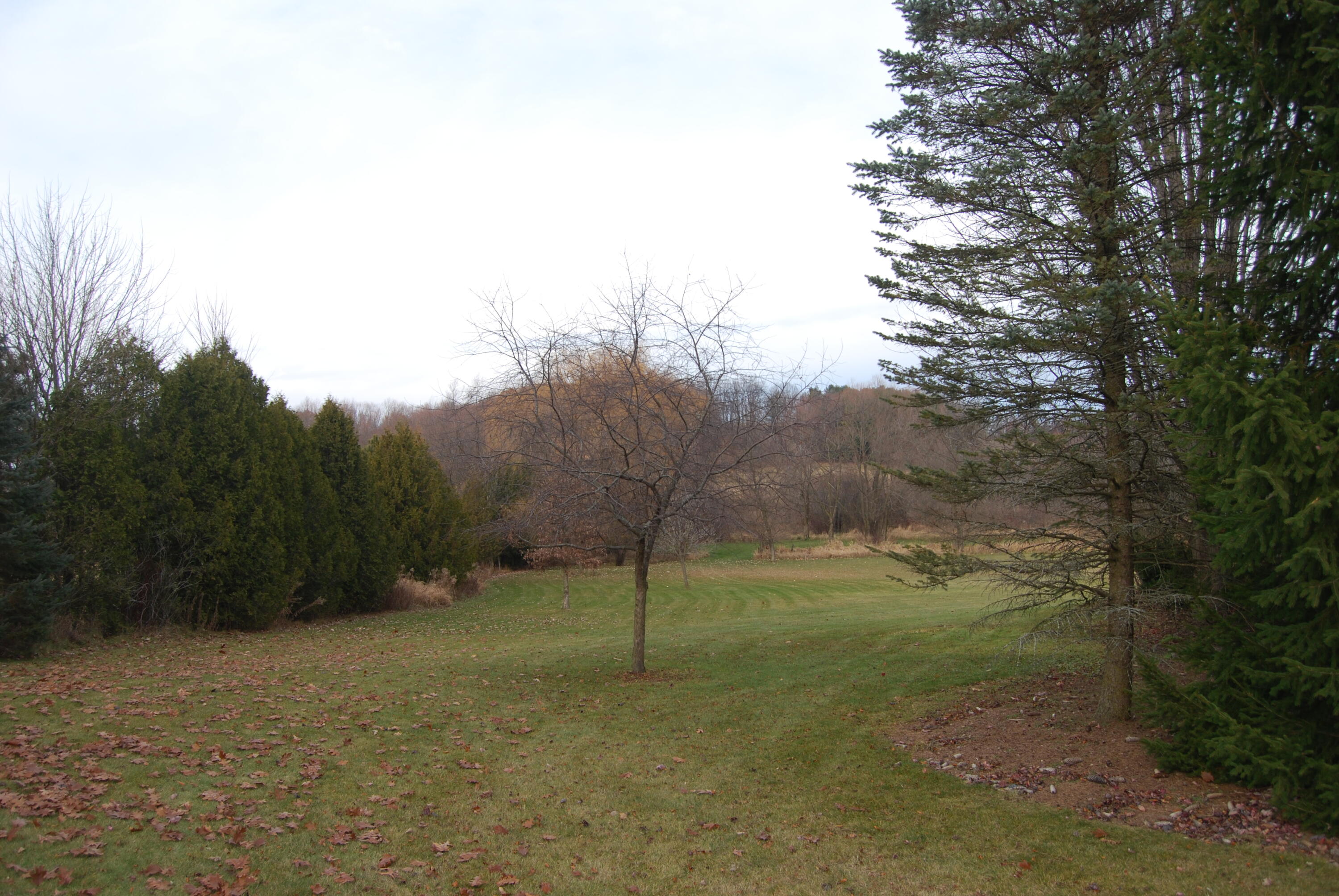 Wayne, Wisconsin, 53002, United States, 3 Bedrooms Bedrooms, ,2 BathroomsBathrooms,Residential,For Sale,2000688