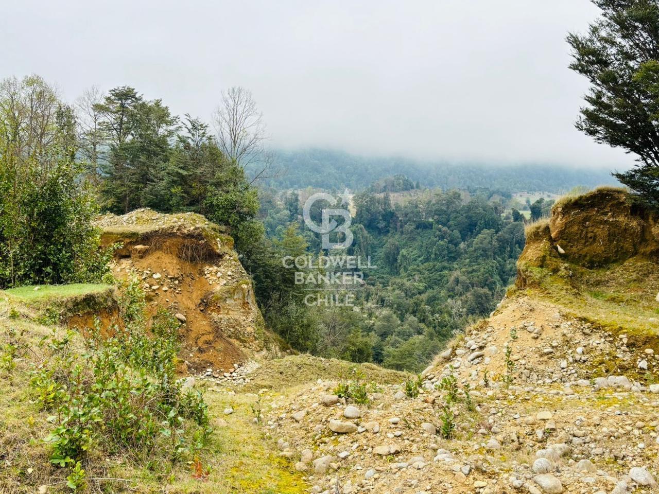Futrono, Chile, ,Residential,For Sale,1934397