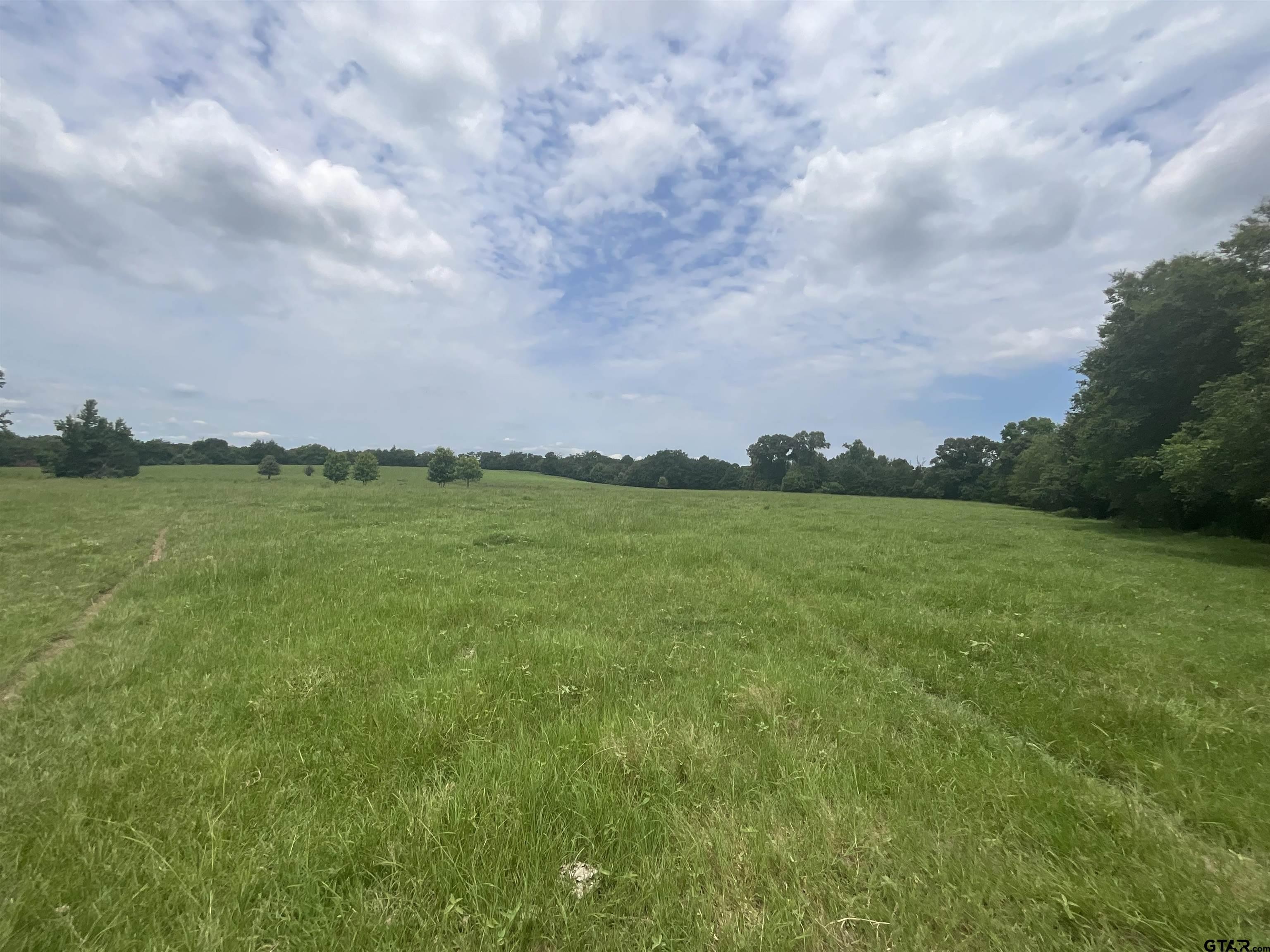 Pittsburg, Texas, 75686, United States, ,Land,For Sale,1976624