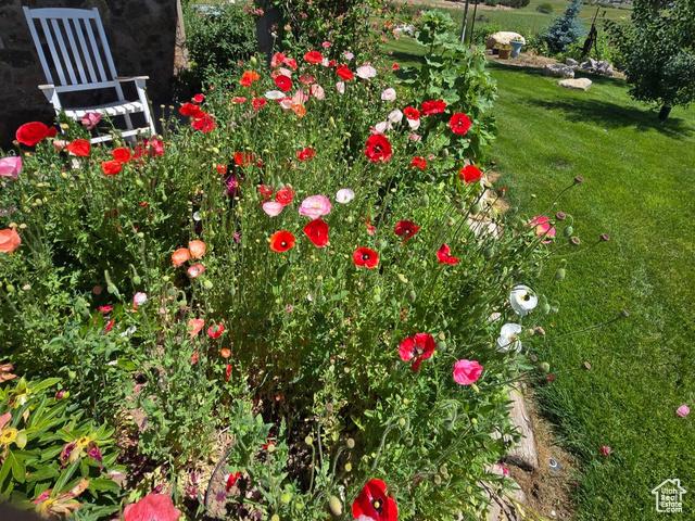 Fairview, Utah, 84629, United States, 4 Bedrooms Bedrooms, ,3 BathroomsBathrooms,Residential,For Sale,1846278