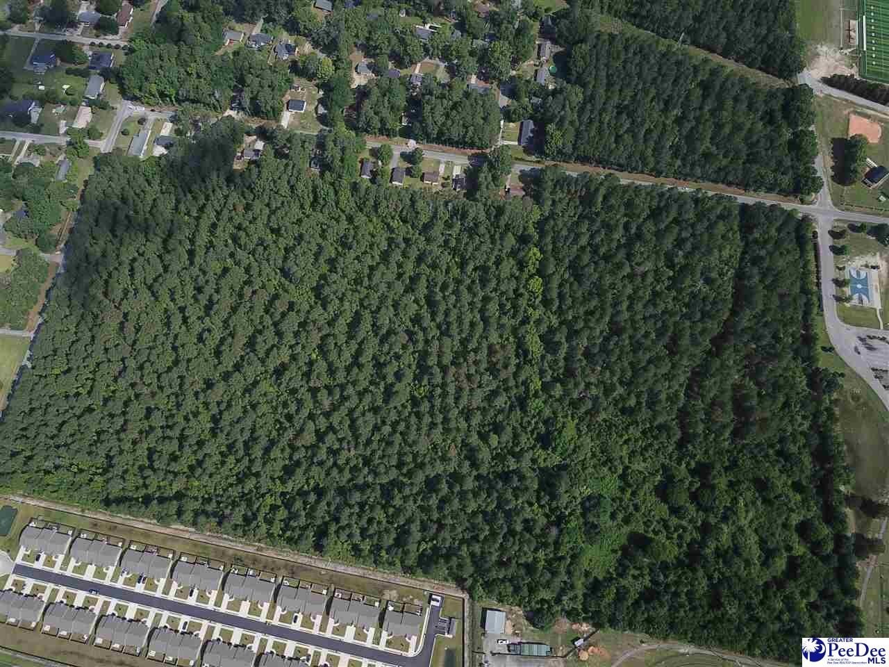 Hartsville, South Carolina, 29550-3644, United States, ,Land,For Sale,1827694