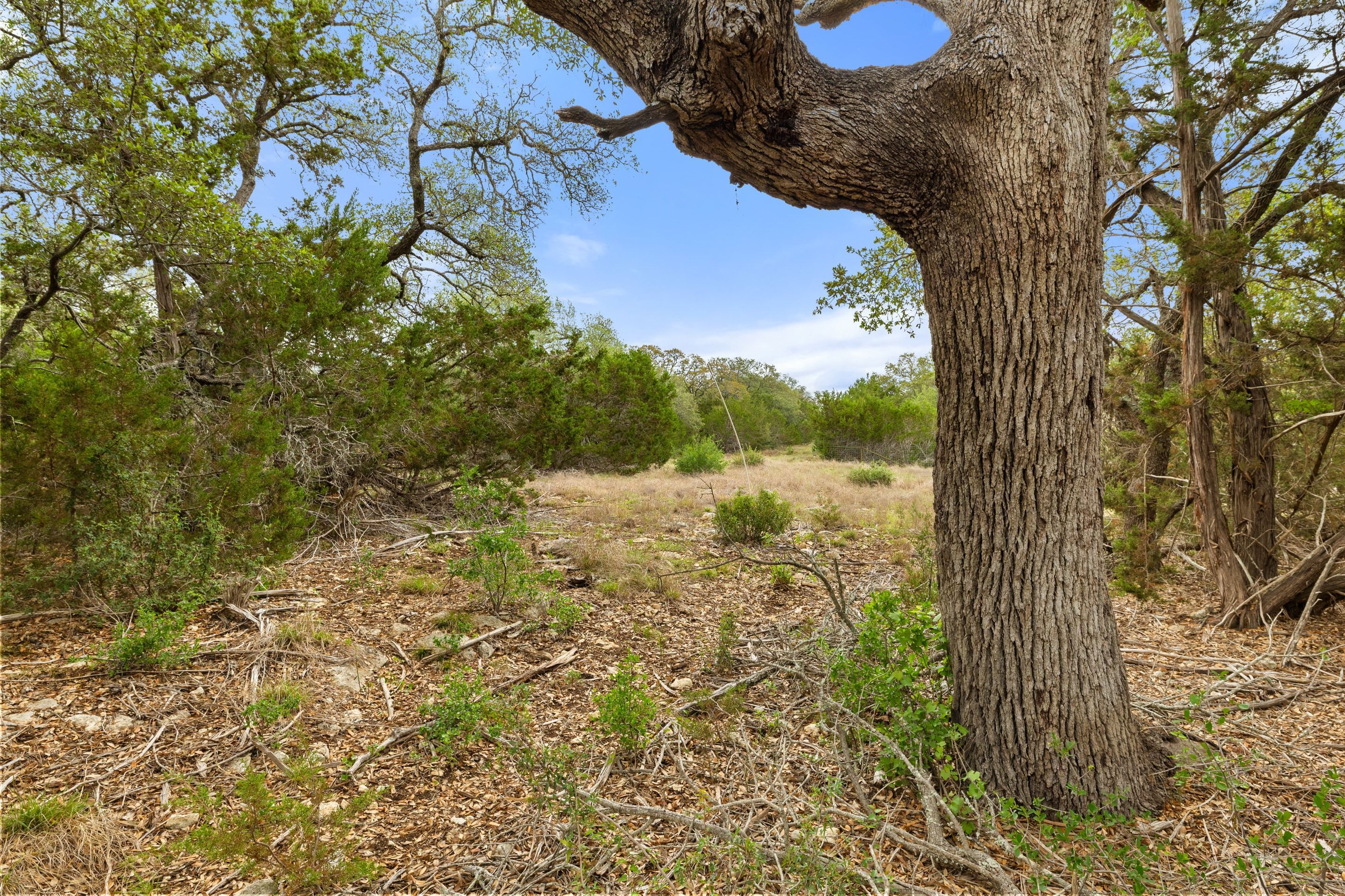  83 S Flat Rock Way - 5 Acre Lot in Gated Legacy Hills - 物件實景