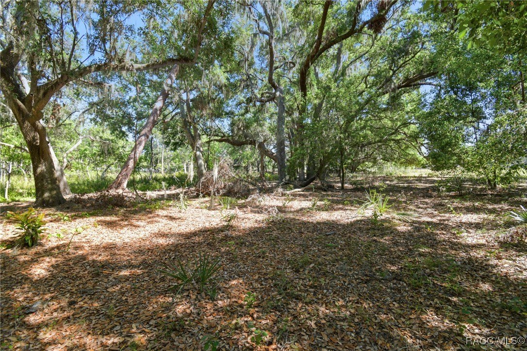 Brandon, Florida, 33511, United States, ,Land,For Sale,1981664