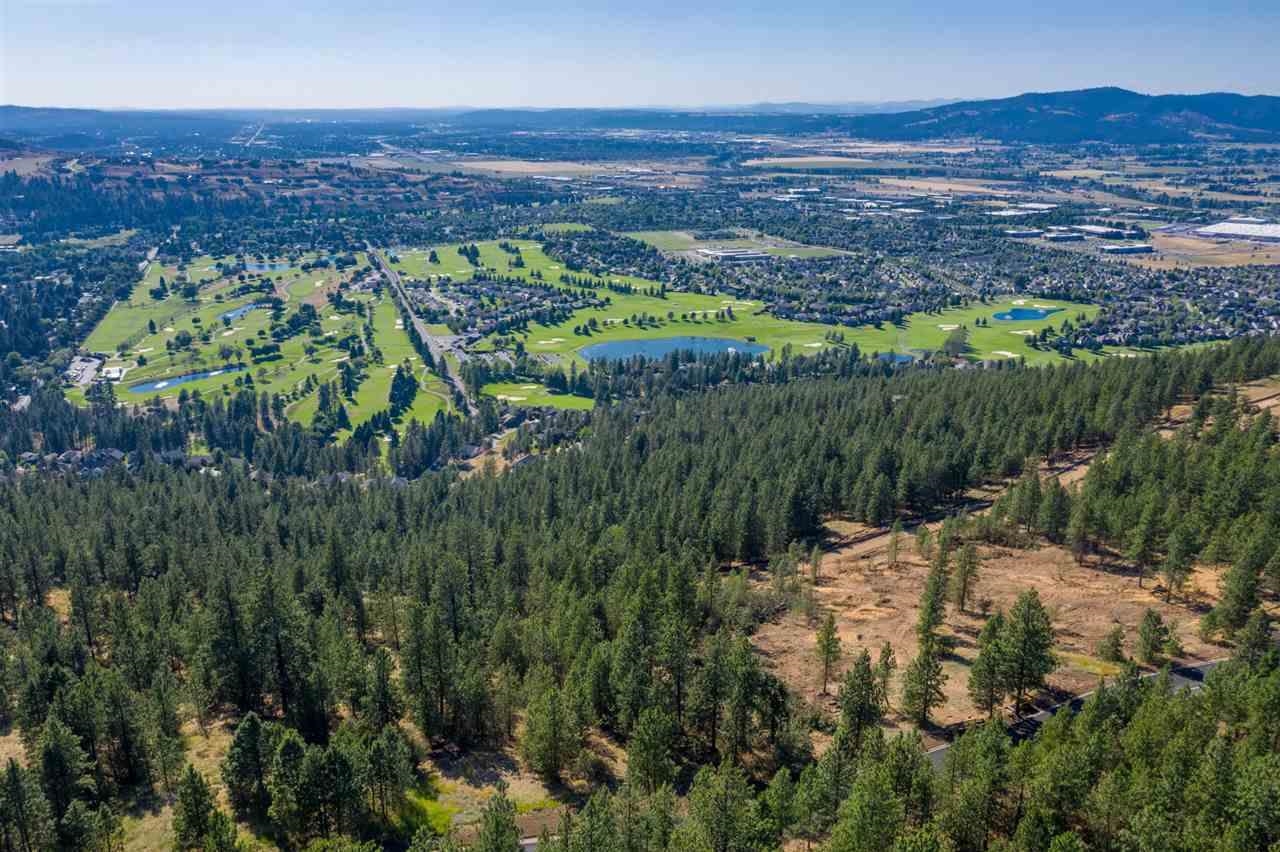 Liberty Lake, Washington, 99019, United States, ,Land,For Sale,1976365