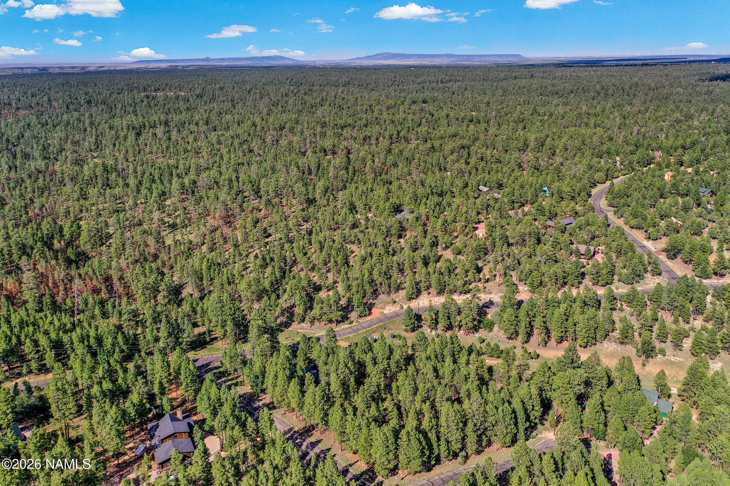  3579 Starlight Drive, Happy Jack, AZ 86024 - 物件實景