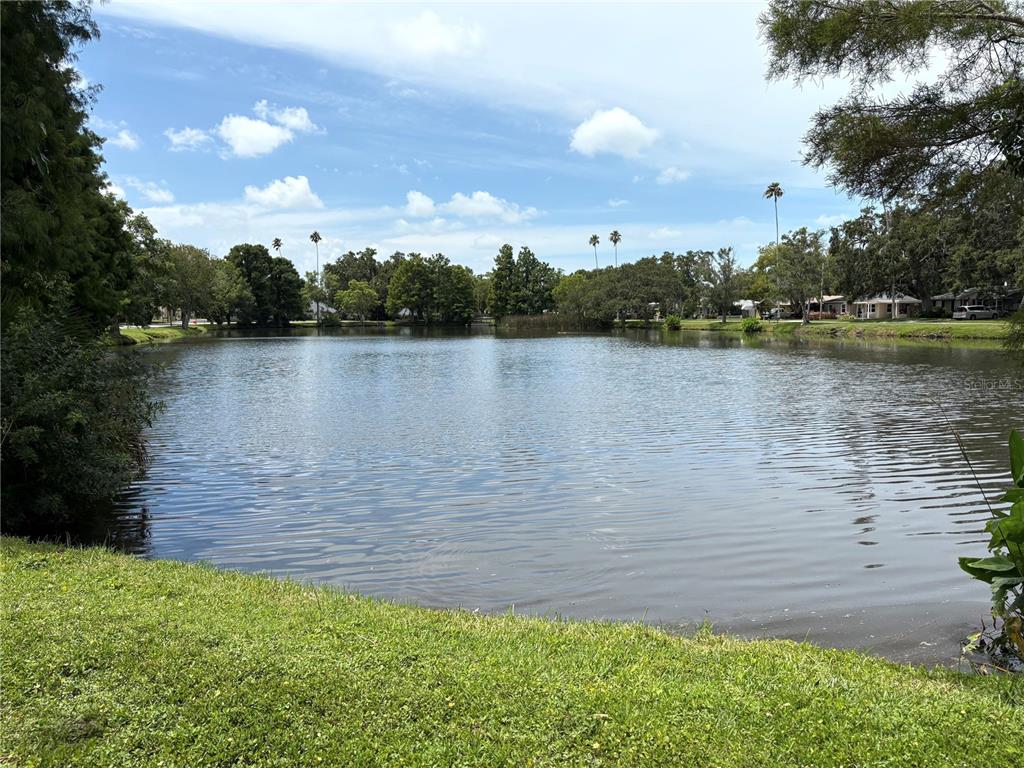 Dunedin, Florida, 34698, United States, 2 Bedrooms Bedrooms, ,2 BathroomsBathrooms,Residential,For Sale,1940544
