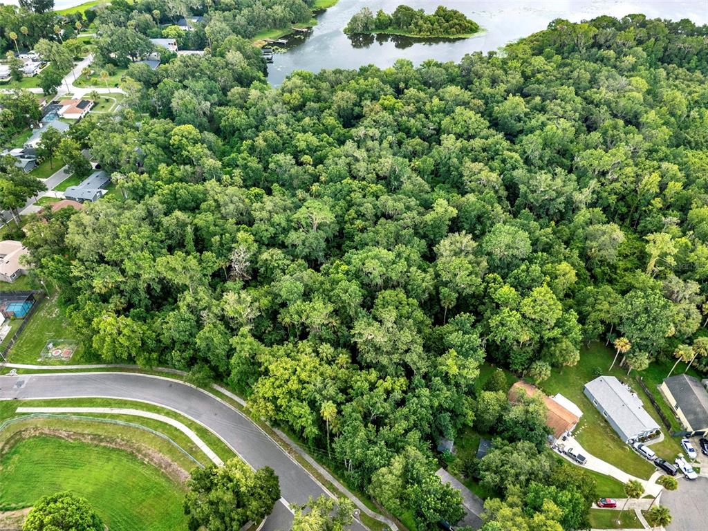 Apopka, Florida, 32712, United States, ,Land,For Sale,1891434