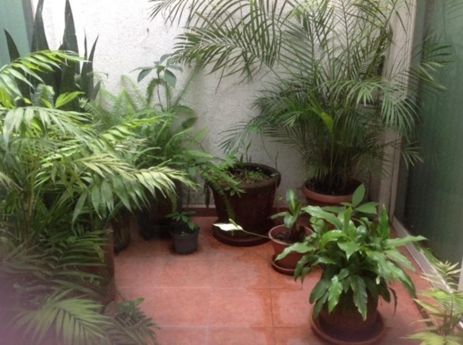 Gamma, Coyoacán, Ciudad de México, 04310, Mexico, 3 Bedrooms Bedrooms, ,2 BathroomsBathrooms,Residential,For Sale,Gamma,1417239