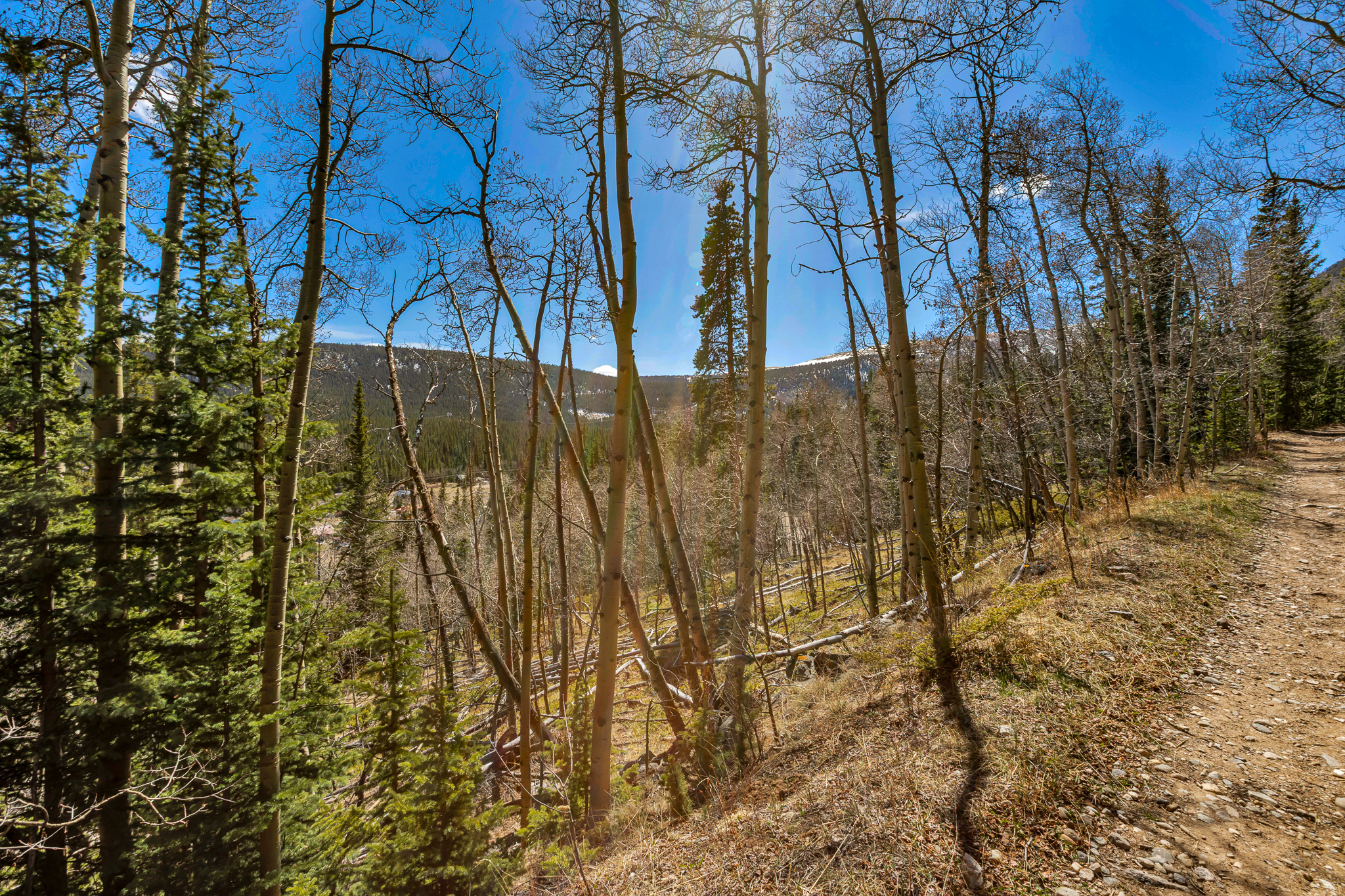  270 Co Rd 667, Alma, CO, 80440 - 物件實景