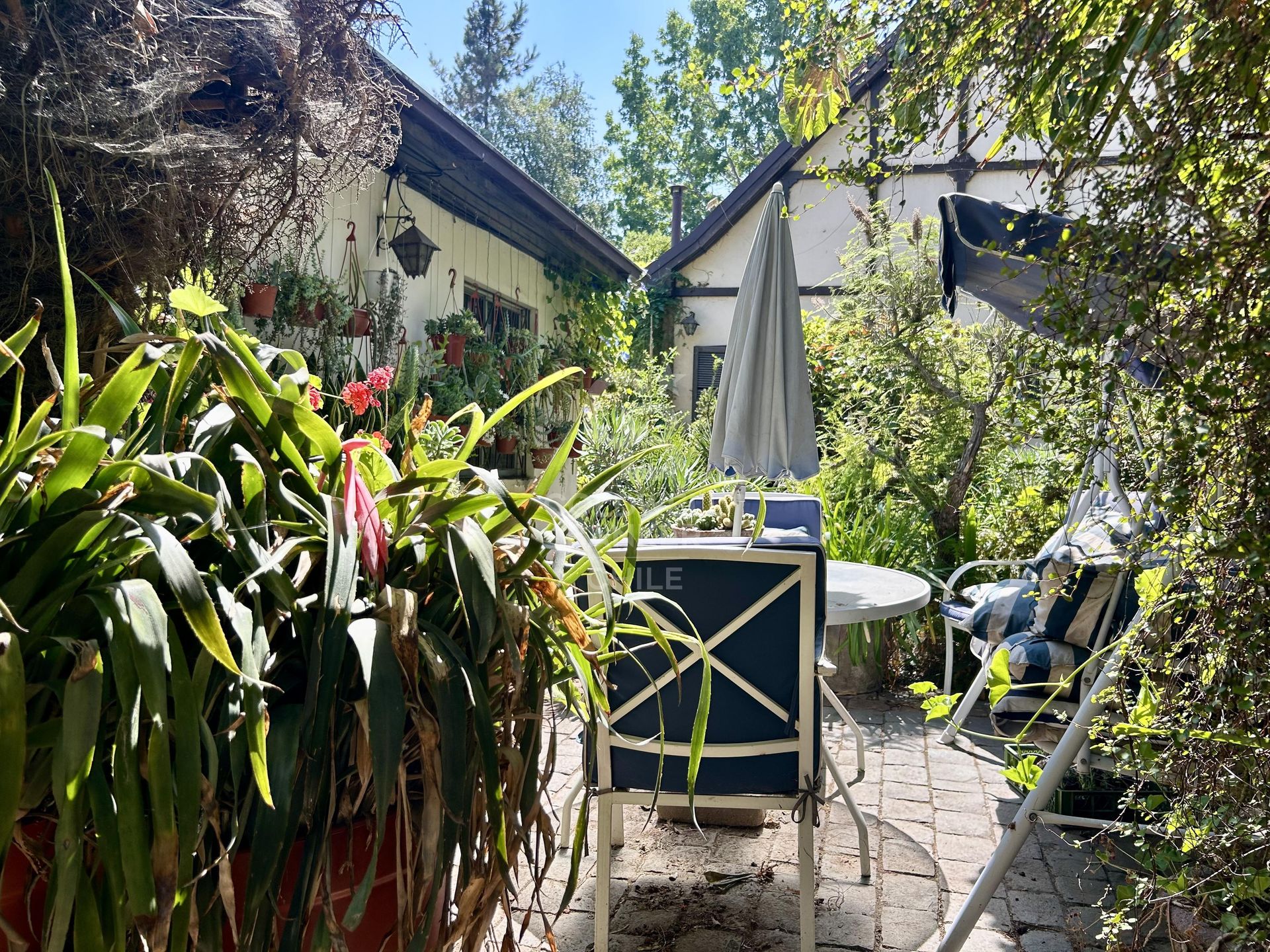 La Reina, Chile, 3 Bedrooms Bedrooms, ,2 BathroomsBathrooms,Residential,For Sale,1751616