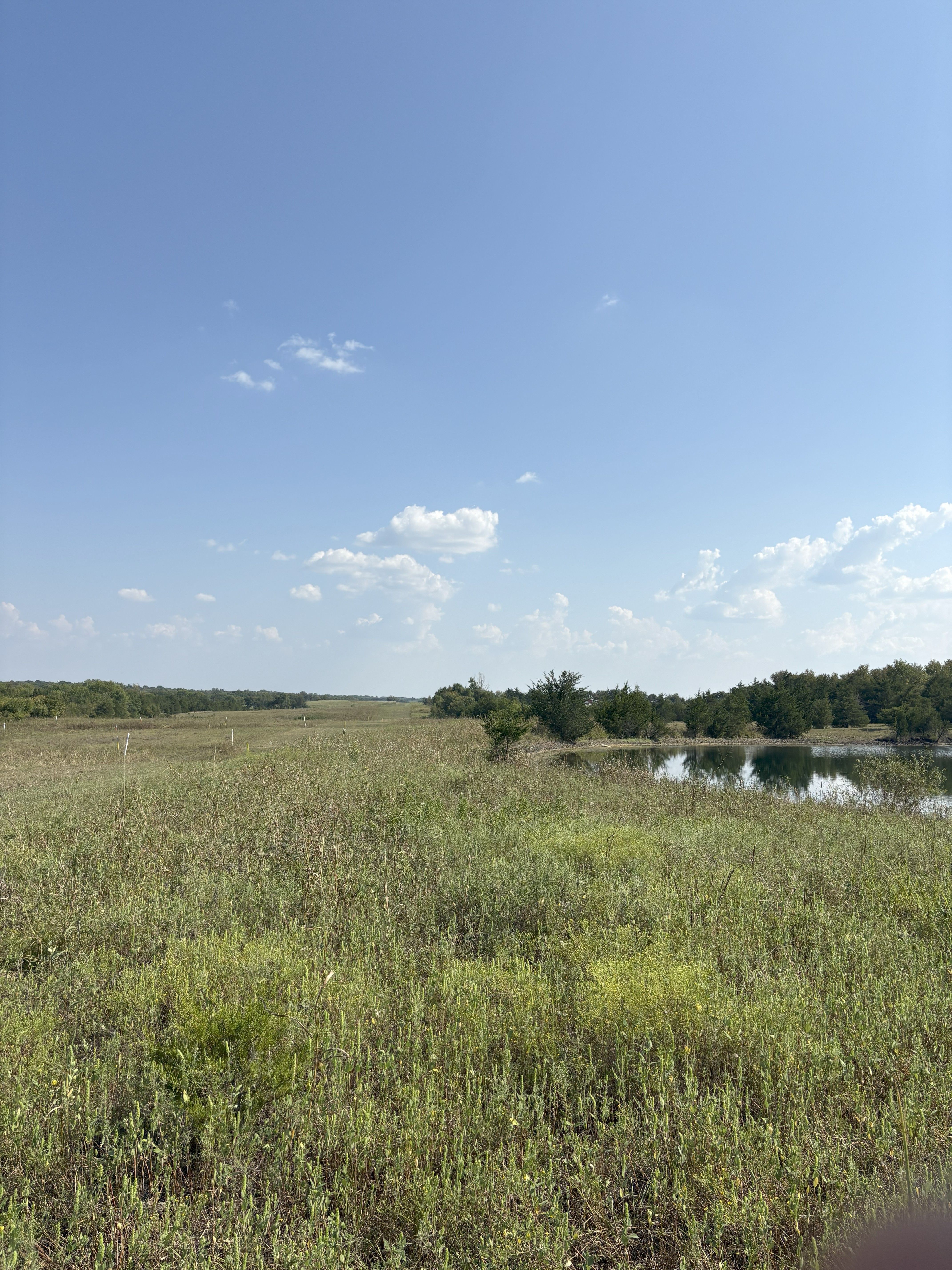 Roxton, Texas, 75477, United States, ,Land,For Sale,1979032