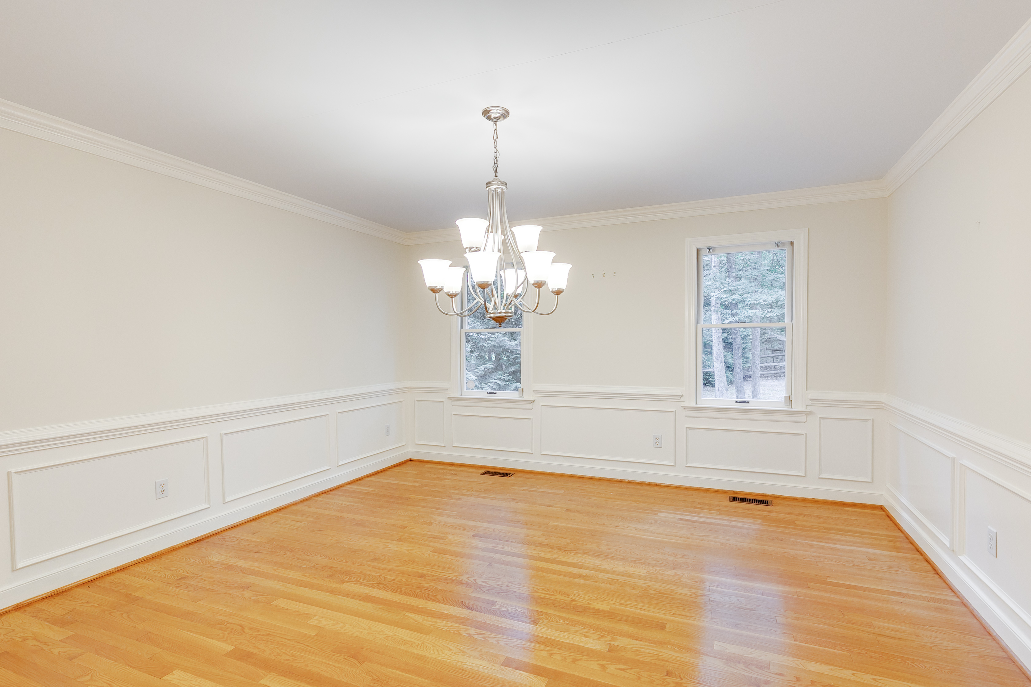  3704 Ivy Home Court, Henrico, VA 23233 - 物件實景