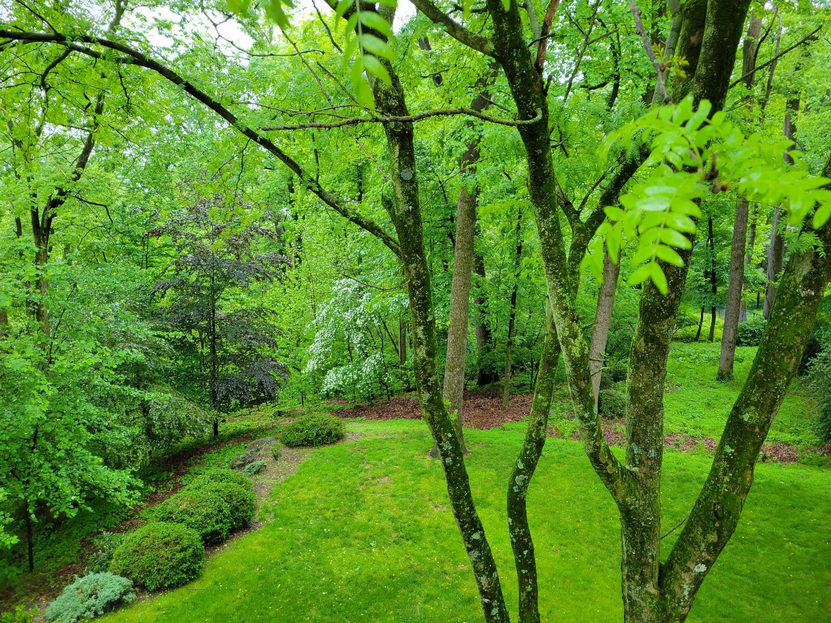  910 Pennwood Circle - 物件實景
