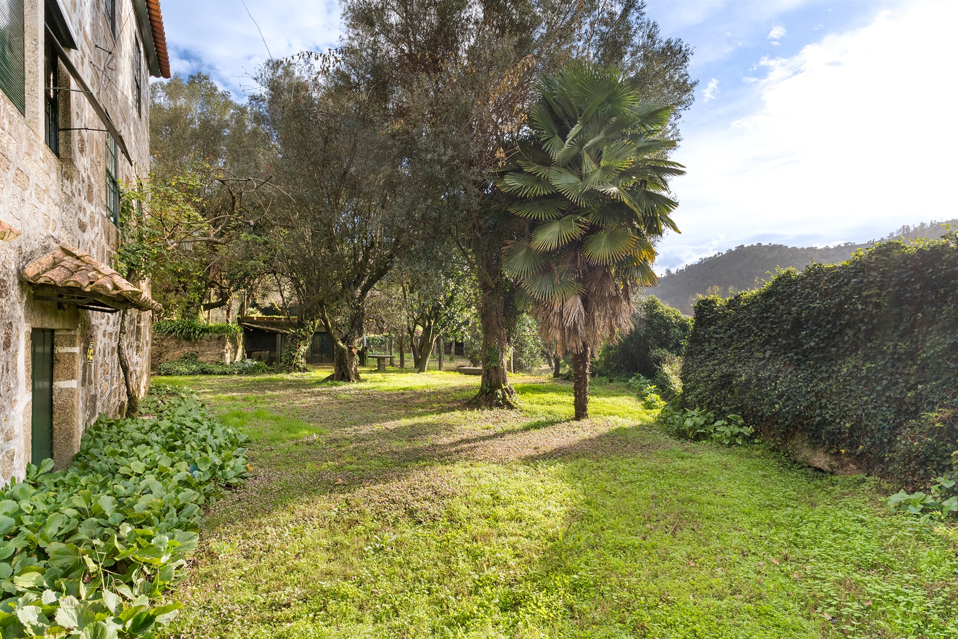  Farm, 6 bedrooms, for Sale - 物件實景