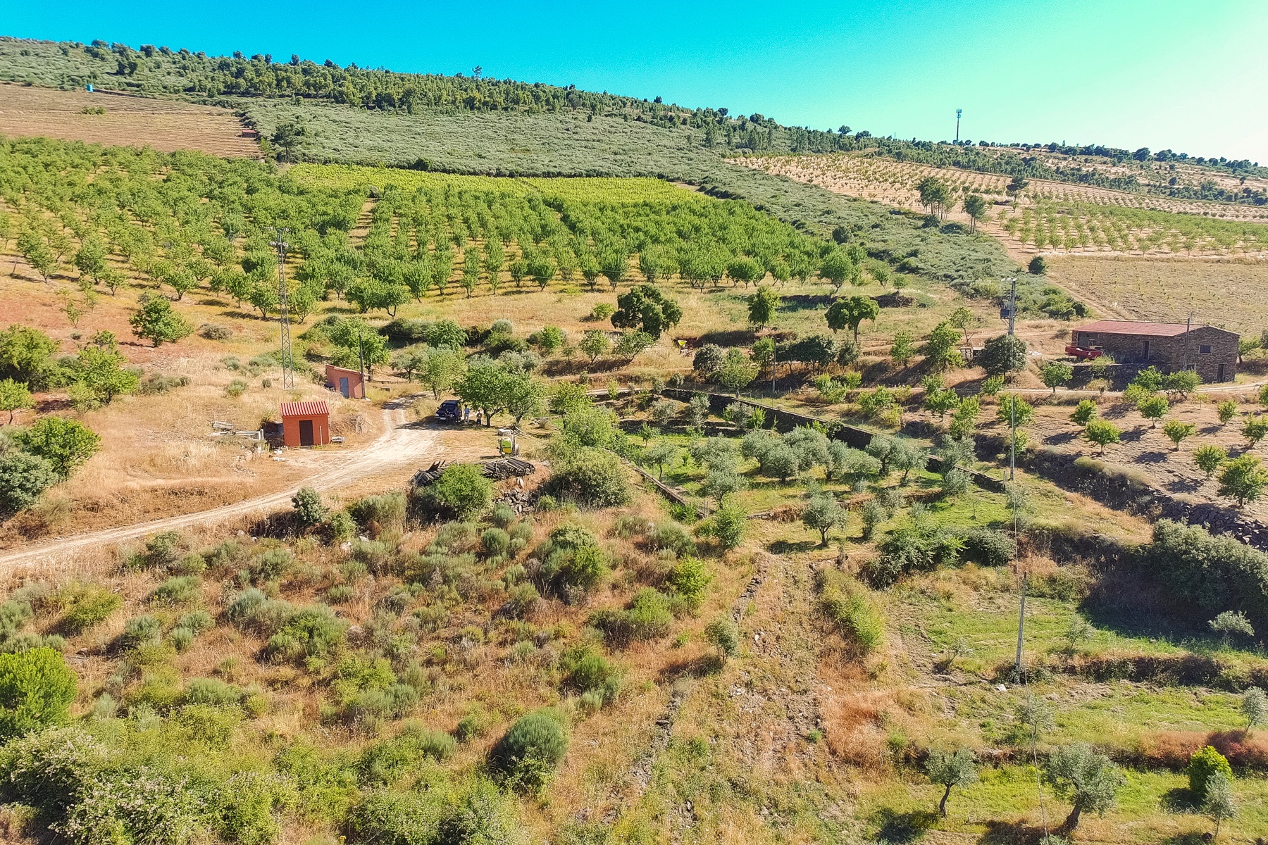  Country Estate for Sale - 物件實景