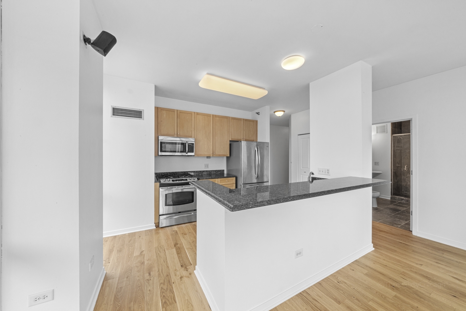 Chicago, Illinois, 60654, United States, 2 Bedrooms Bedrooms, ,2 BathroomsBathrooms,Residential,For Sale,2023222
