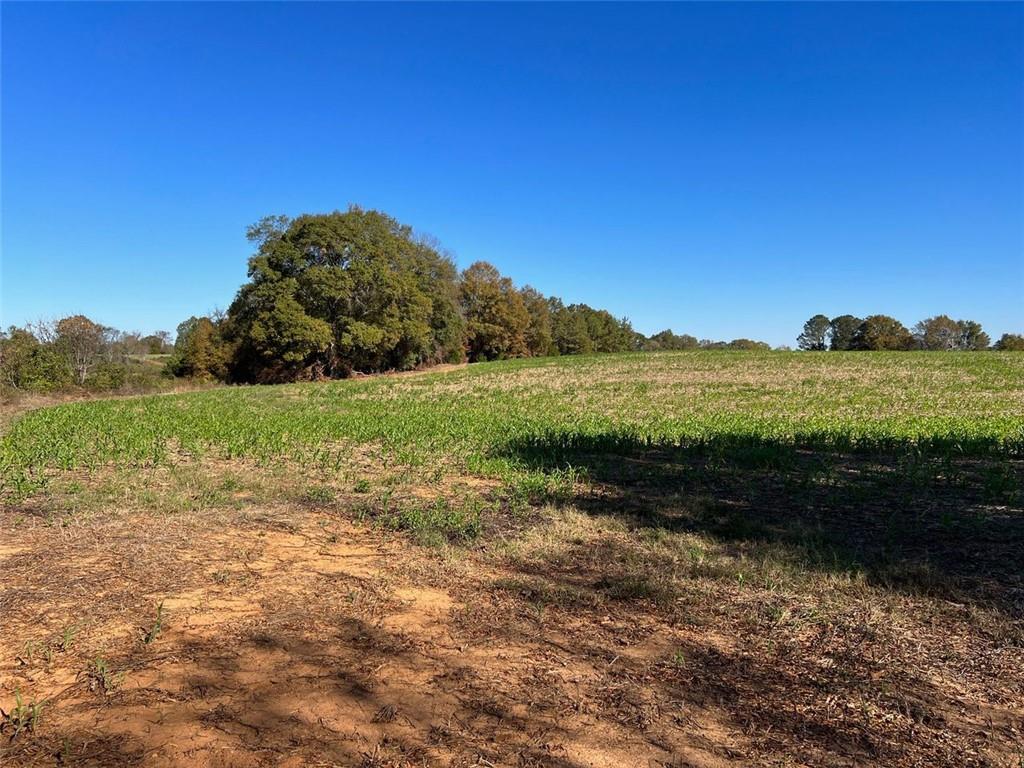 Taylorsville, Georgia, 30178, United States, ,Land,For Sale,1795283