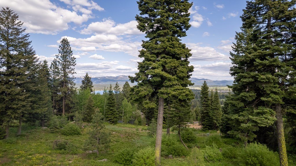 McCall, Idaho, 83638, United States, ,Residential,For Sale,1944832