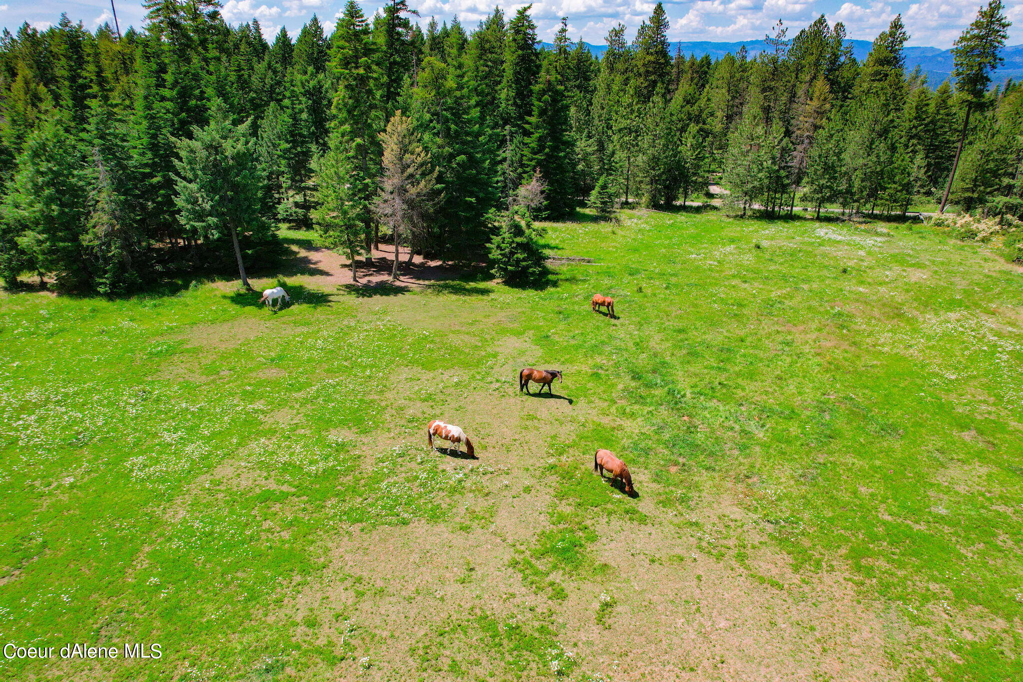 Harrison, Idaho, 83833, United States, 1 Bedroom Bedrooms, ,1 BathroomBathrooms,Residential,For Sale,1998732