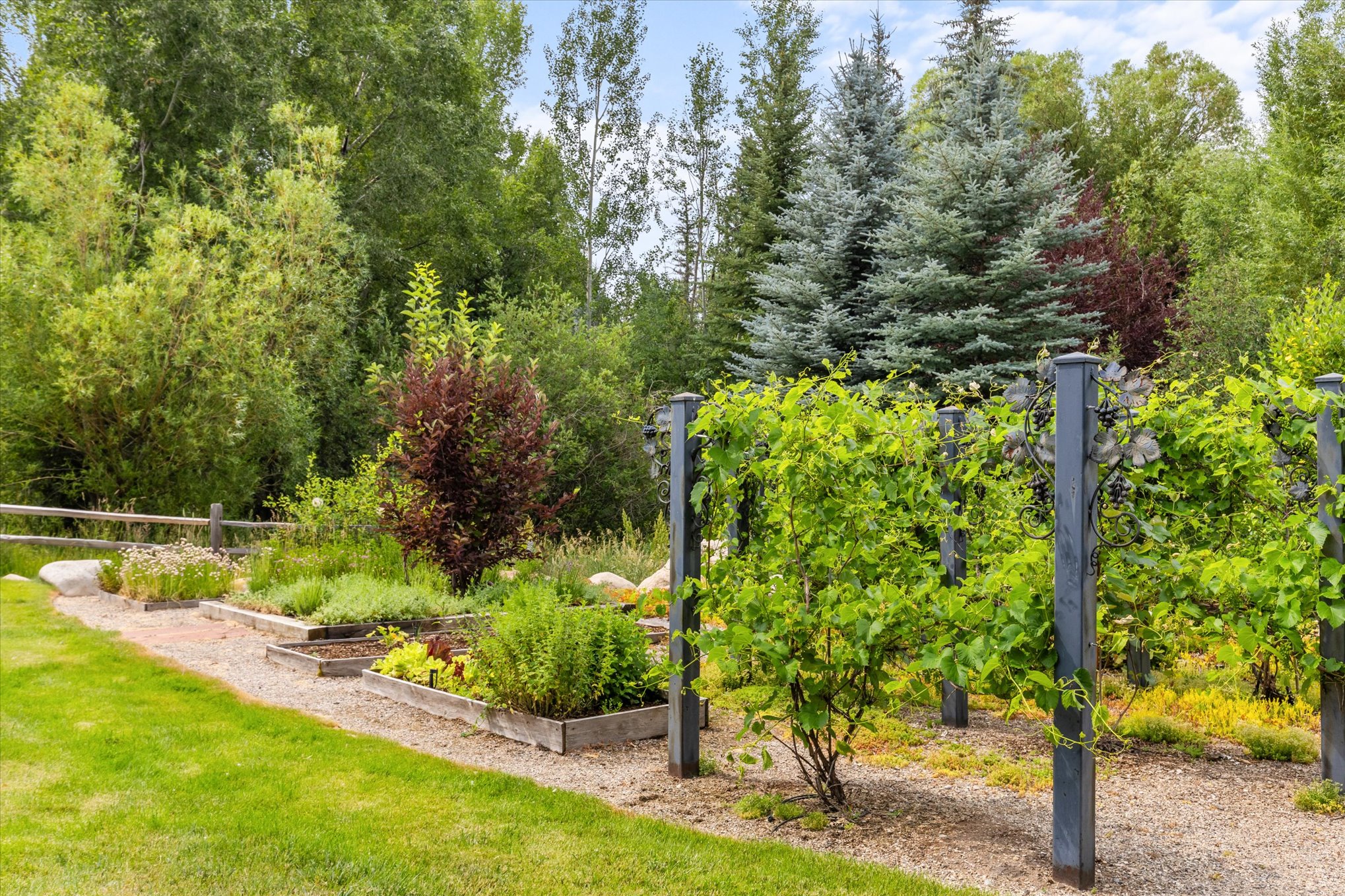 1184 Anglers Drive, Steamboat Springs, CO 80487 - 物件實景