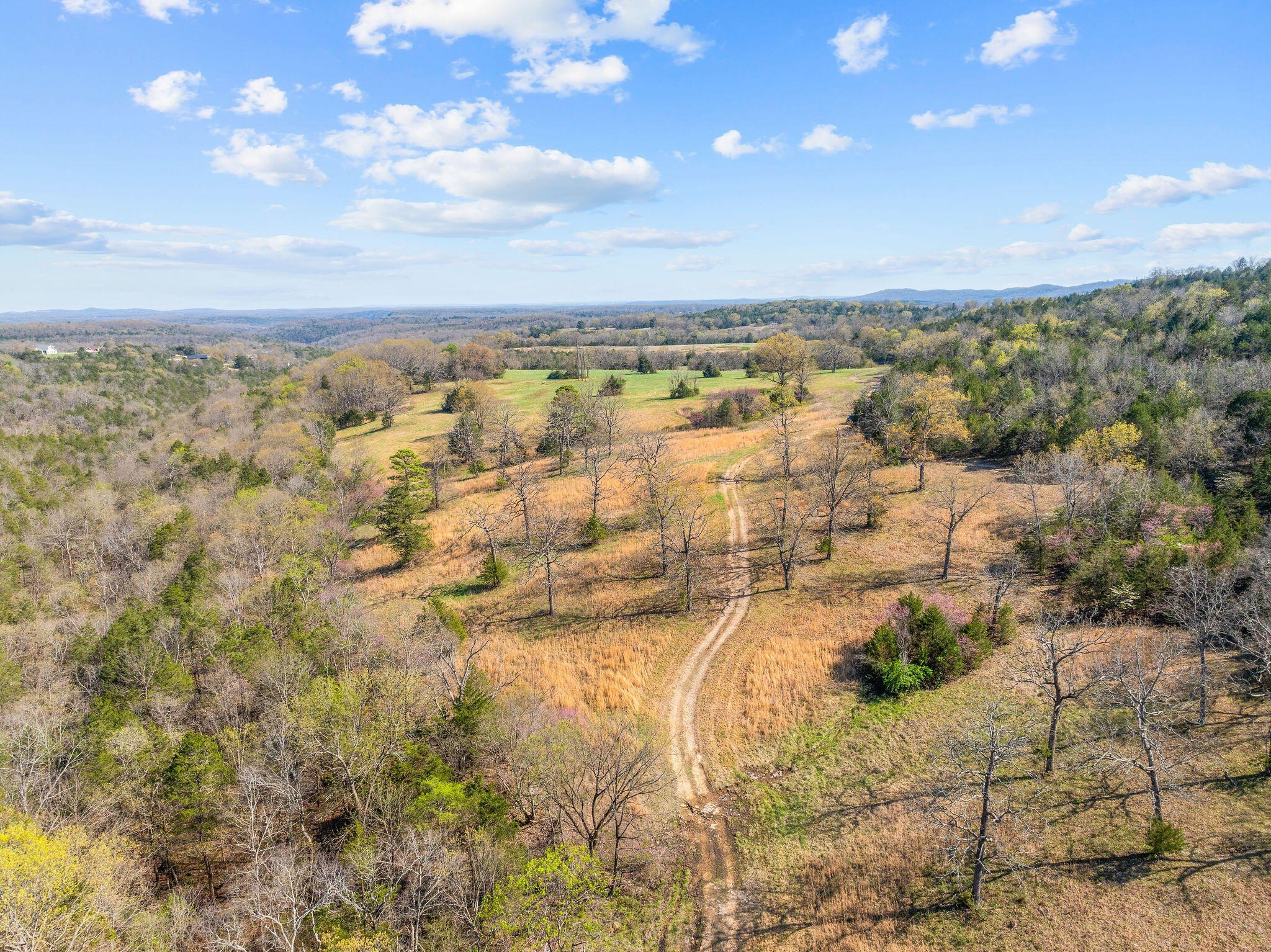 Kirbyville, Missouri, 65679, United States, ,Land,For Sale,1978892