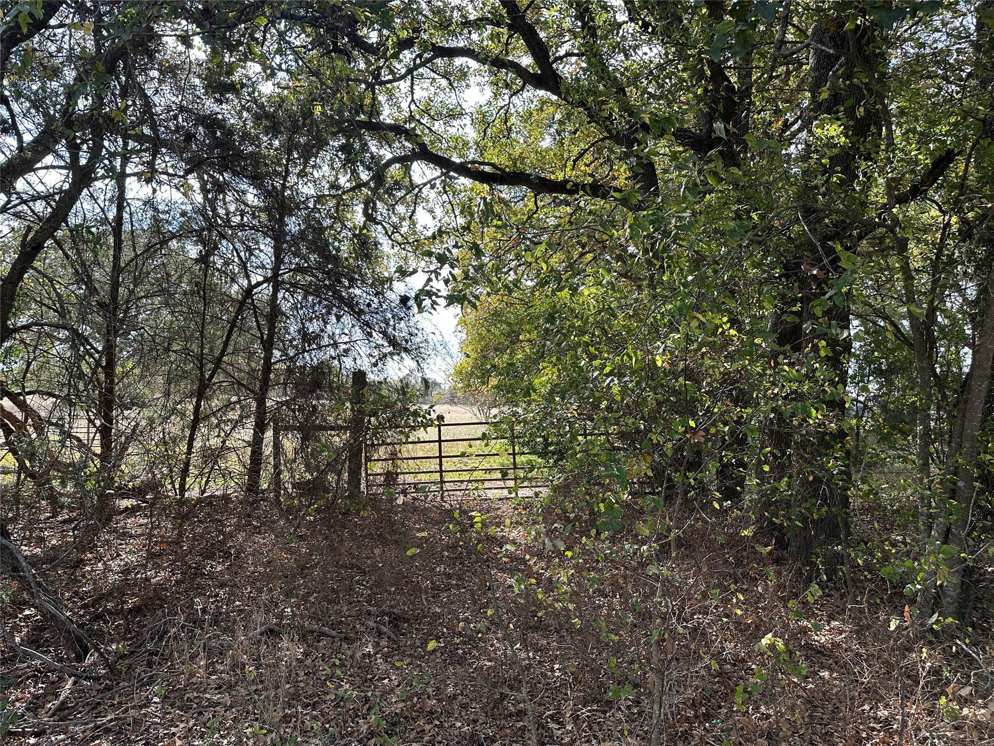 Thornton, Texas, 76687, United States, ,Land,For Sale,1995546