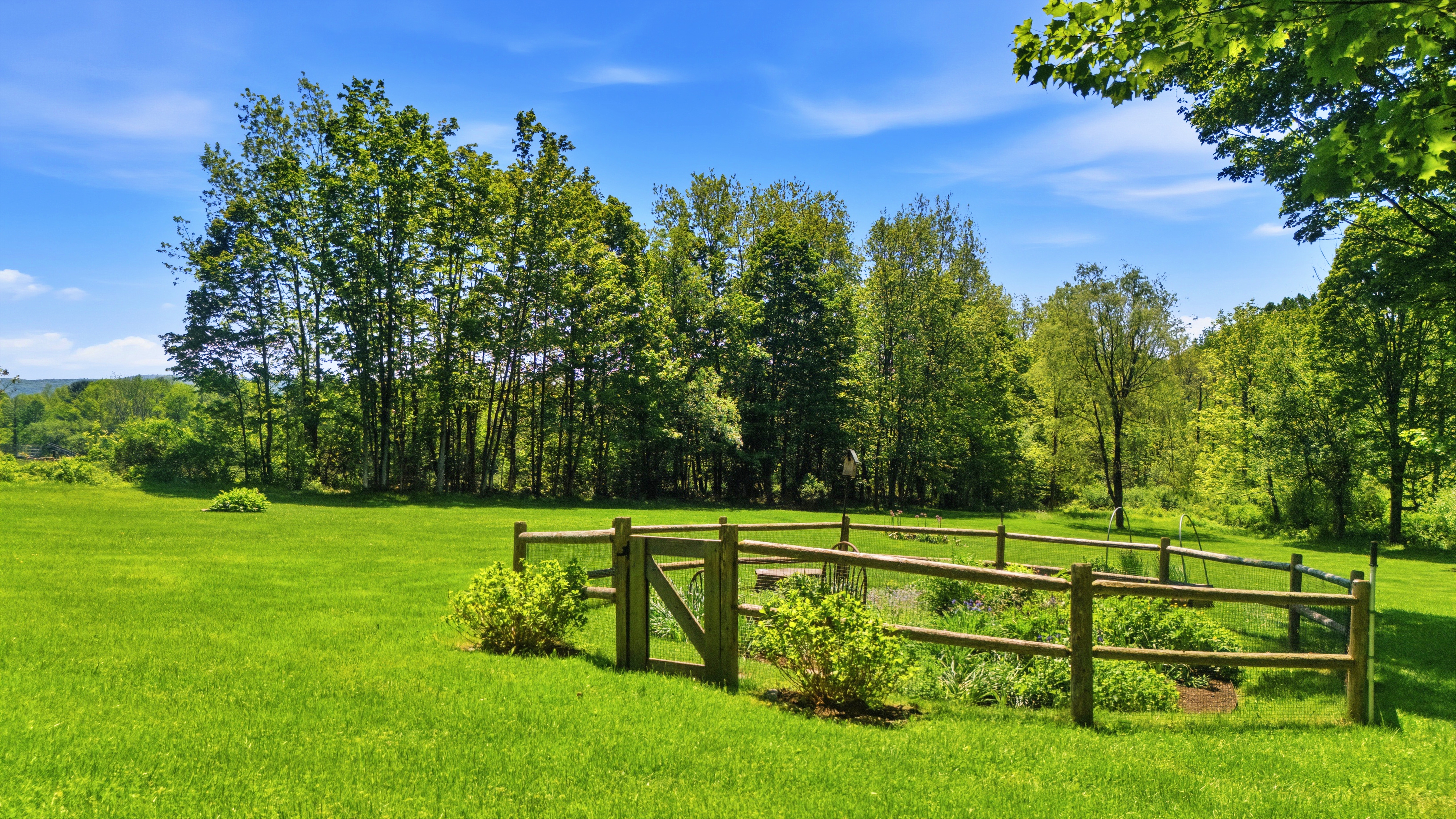  Charming and Spacious Country Retreat Just 15 Minutes from Tanglewood - 物件實景