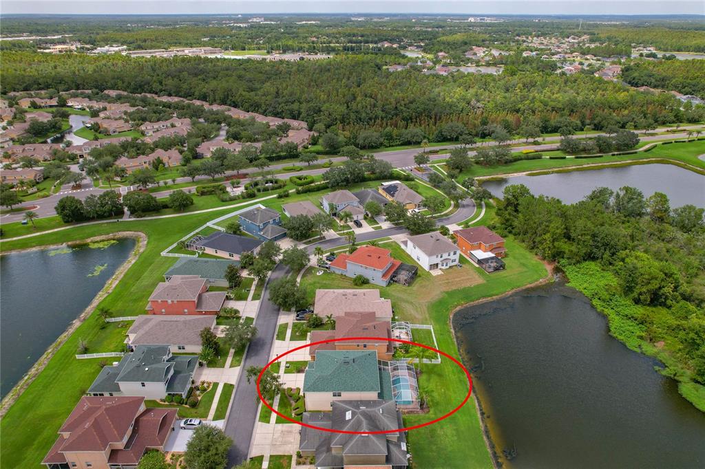 Tampa, Florida, 33647, United States, 4 Bedrooms Bedrooms, ,3 BathroomsBathrooms,Residential,For Sale,1906632