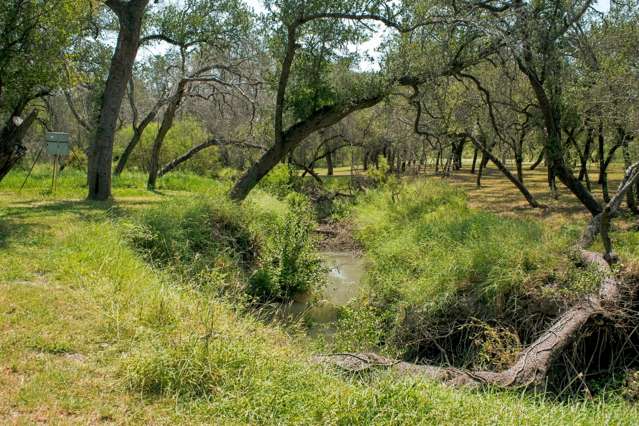  7, 902 +/- Las Moras Creek - 物件實景