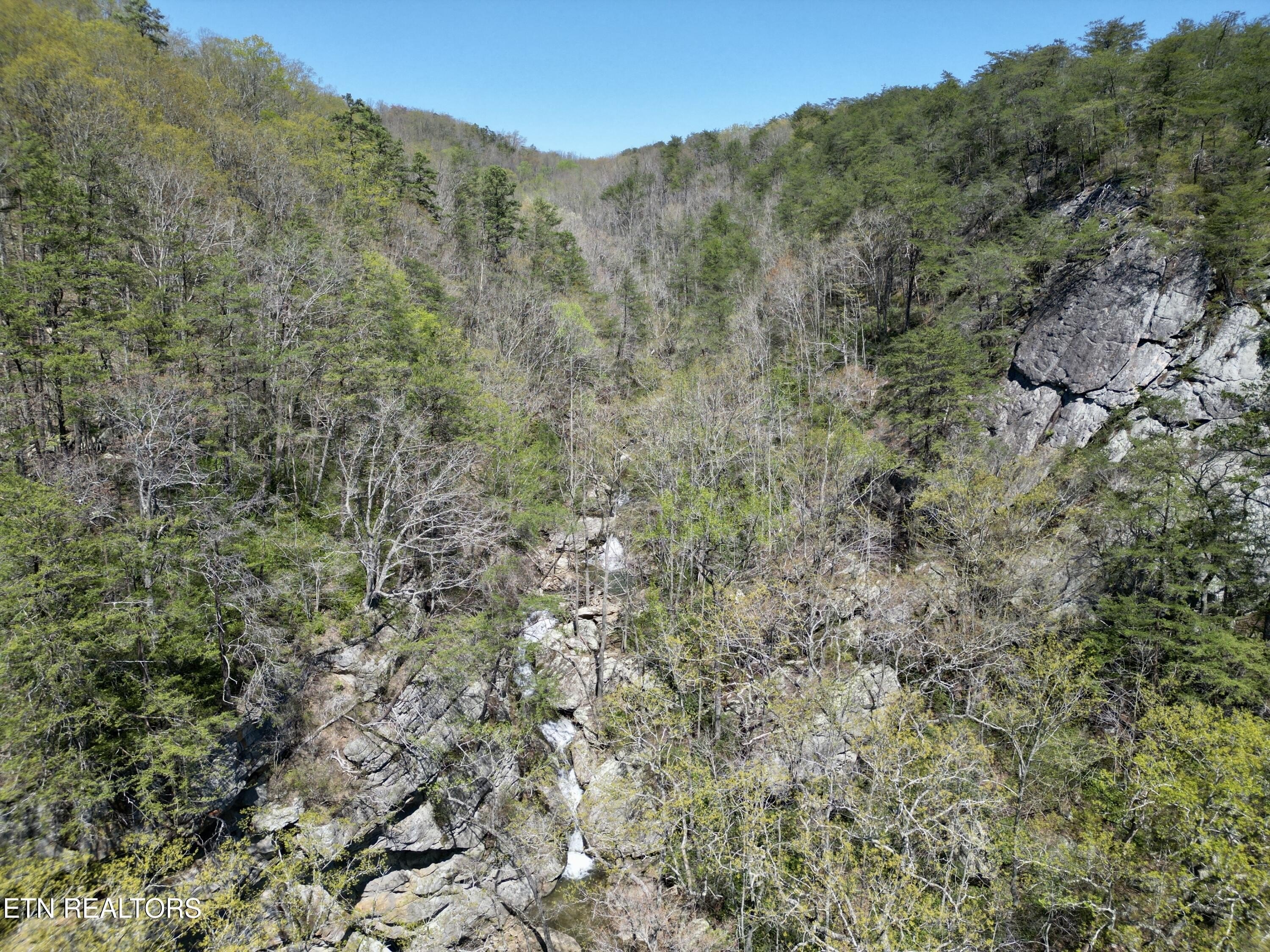 Pikeville, Tennessee, 37367, United States, ,Land,For Sale,2005286