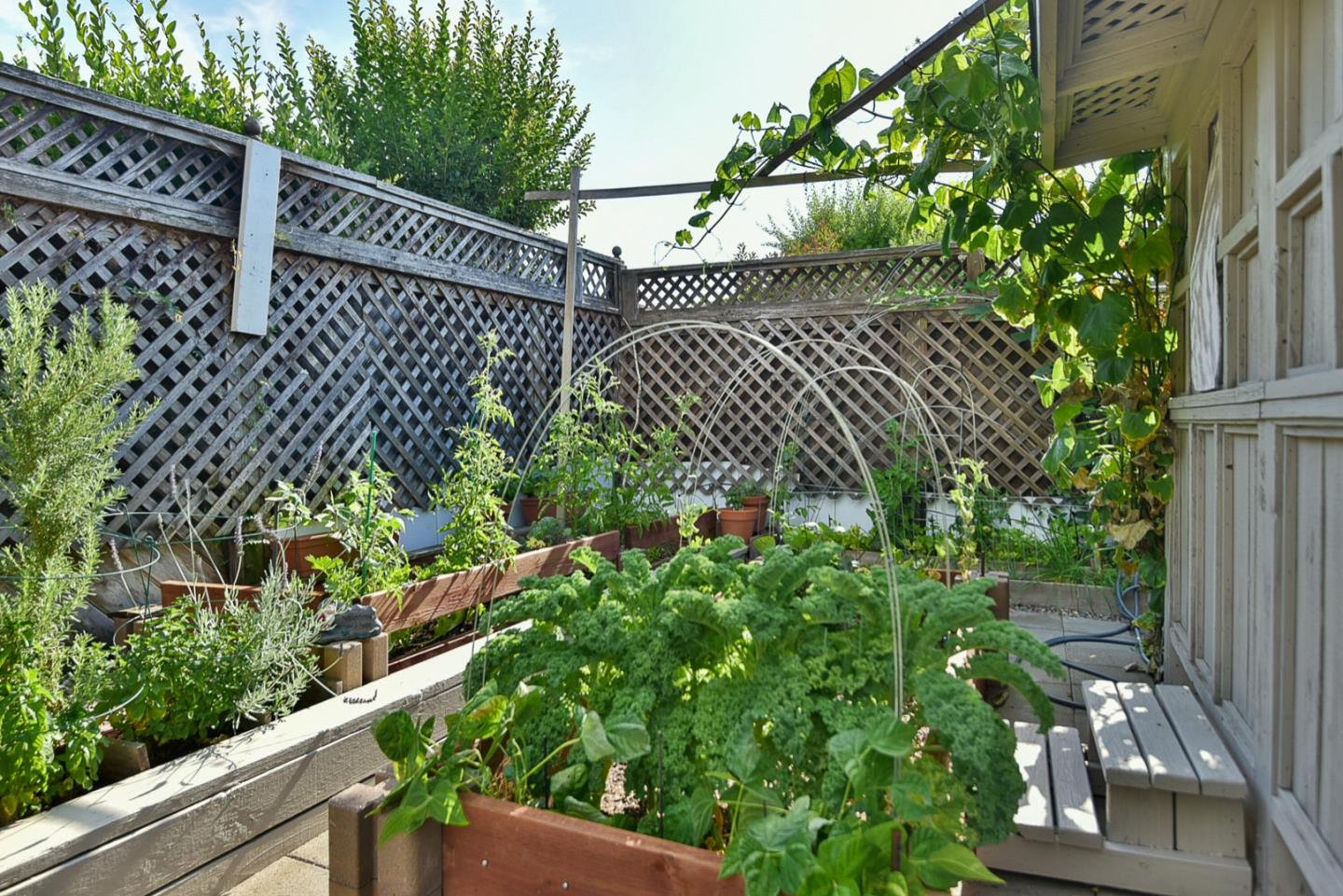 Hollister, California, 95023, United States, 3 Bedrooms Bedrooms, ,2 BathroomsBathrooms,Residential,For Sale,1983755