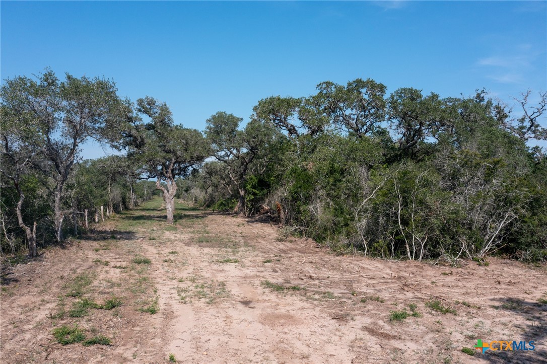 Yorktown, Texas, 78164, United States, ,Land,For Sale,1858167