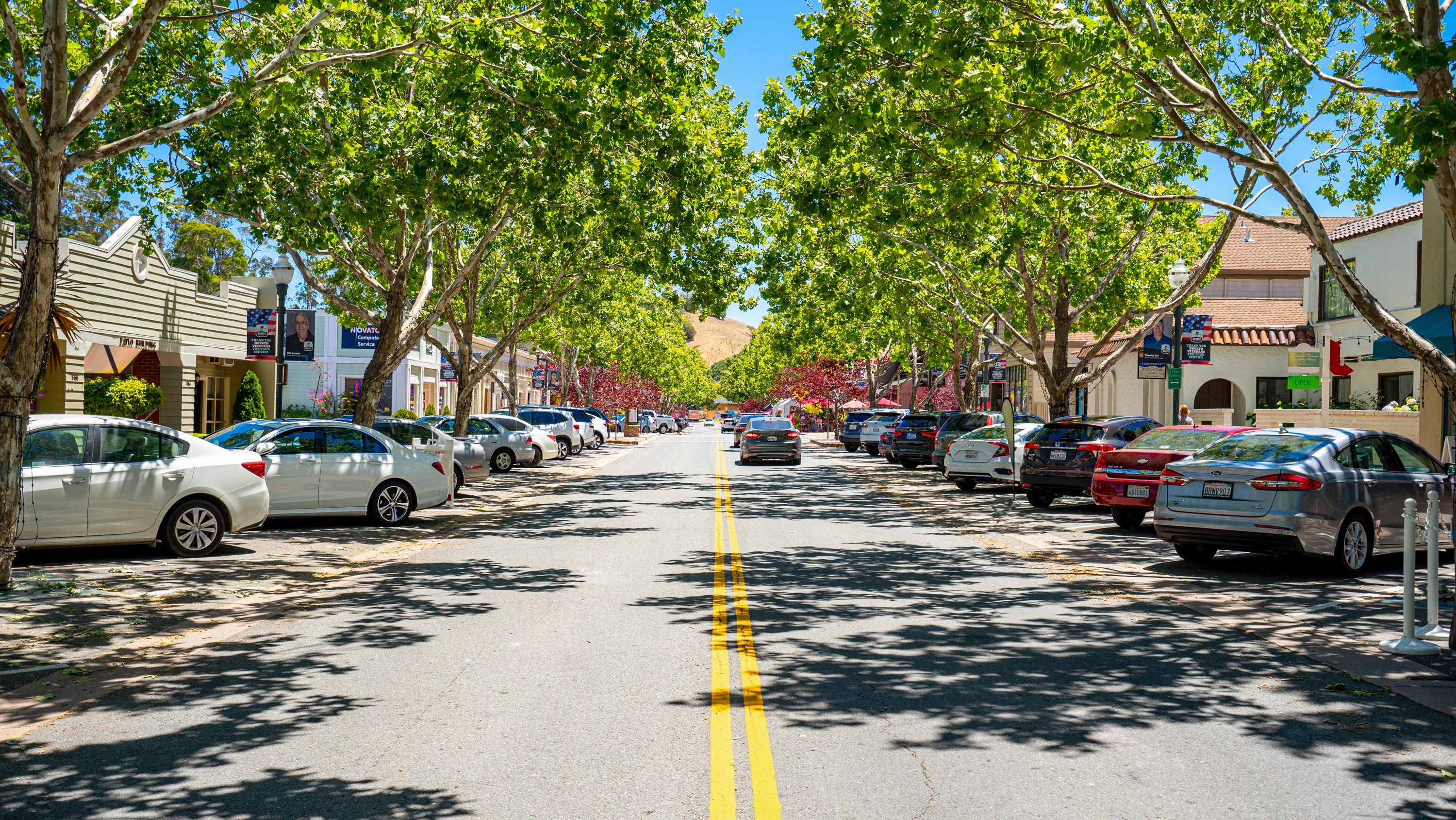  728 Eucalyptus Avenue, Novato, CA 94947 - 物件實景