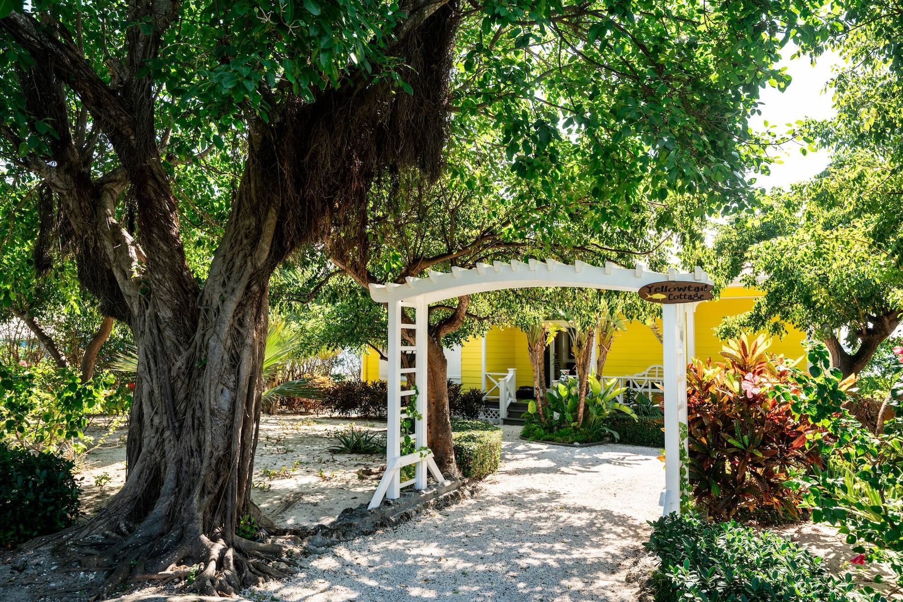 Elegant Island Cottage - 物件實景